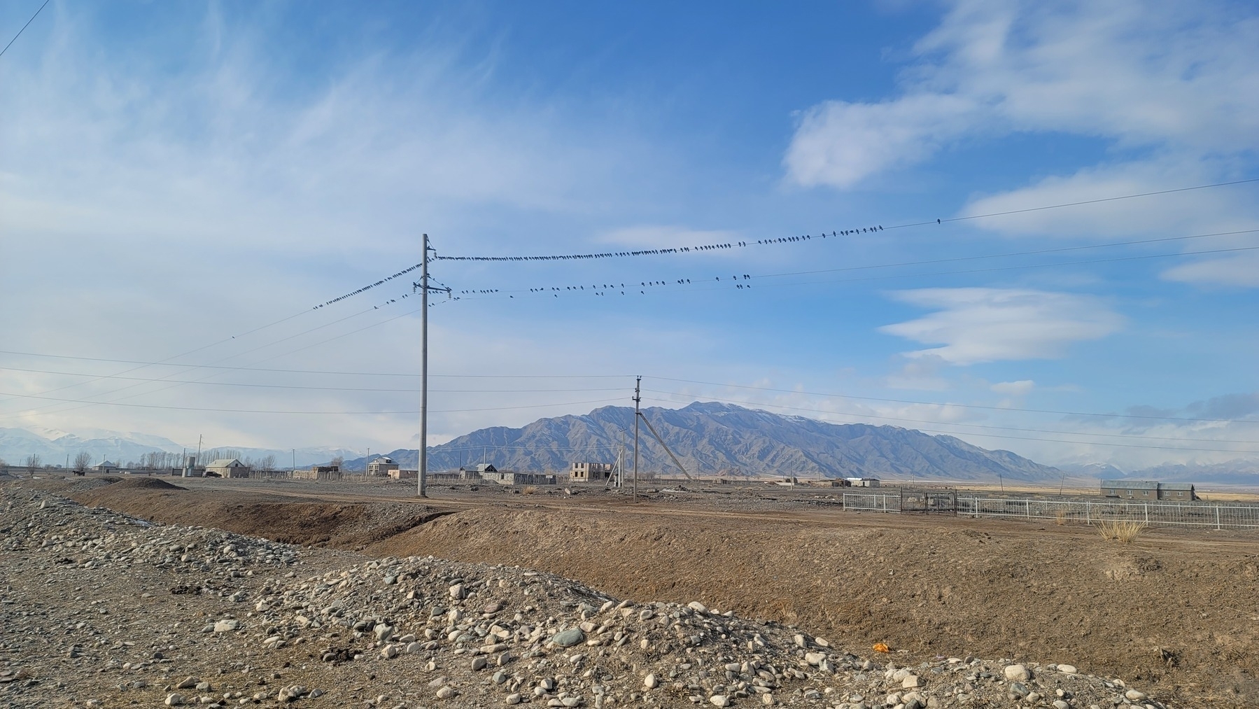 birds on a power line, mountain in the distance