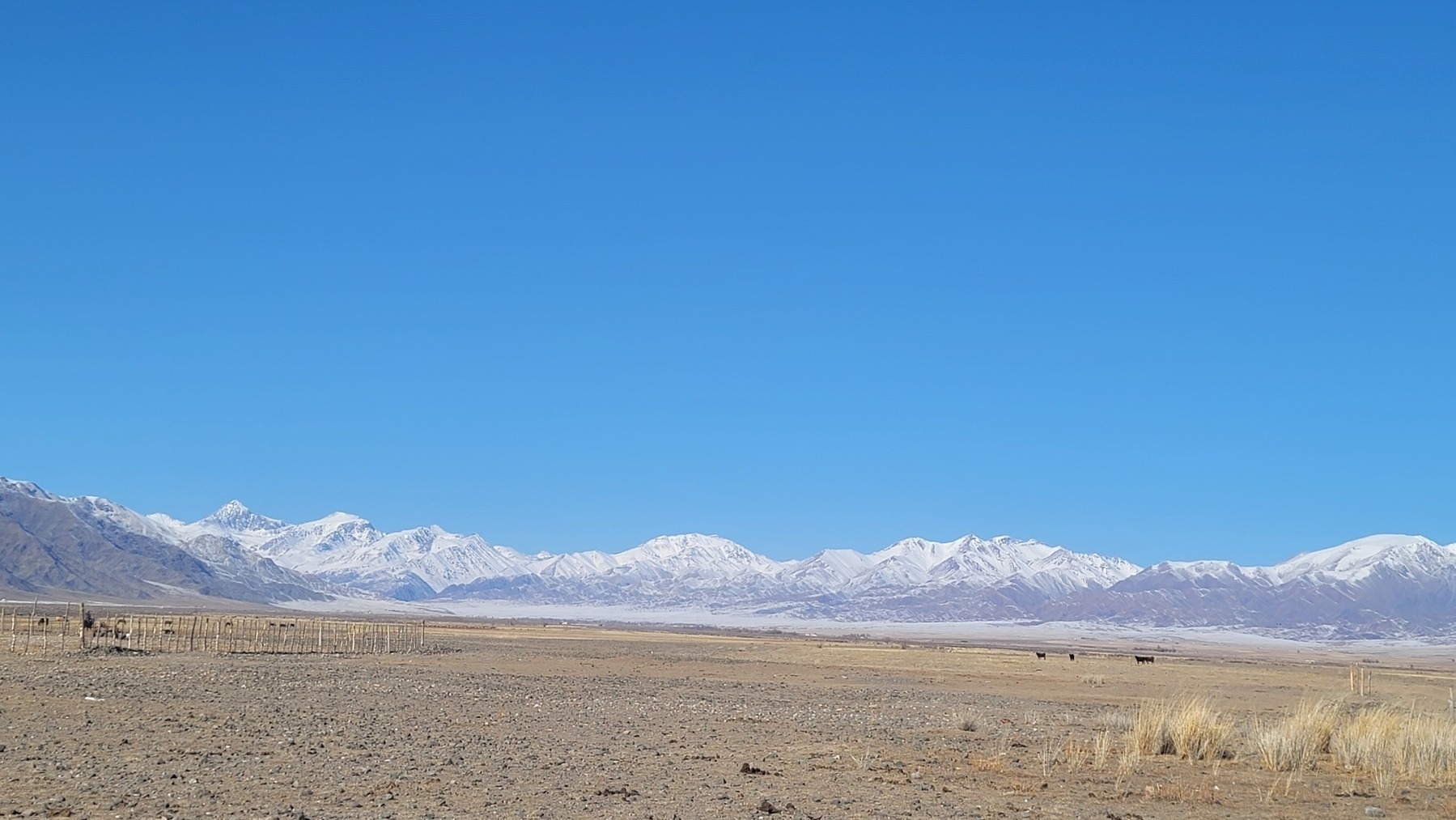 mountains and a snowy valley in the distance past a vast brown field