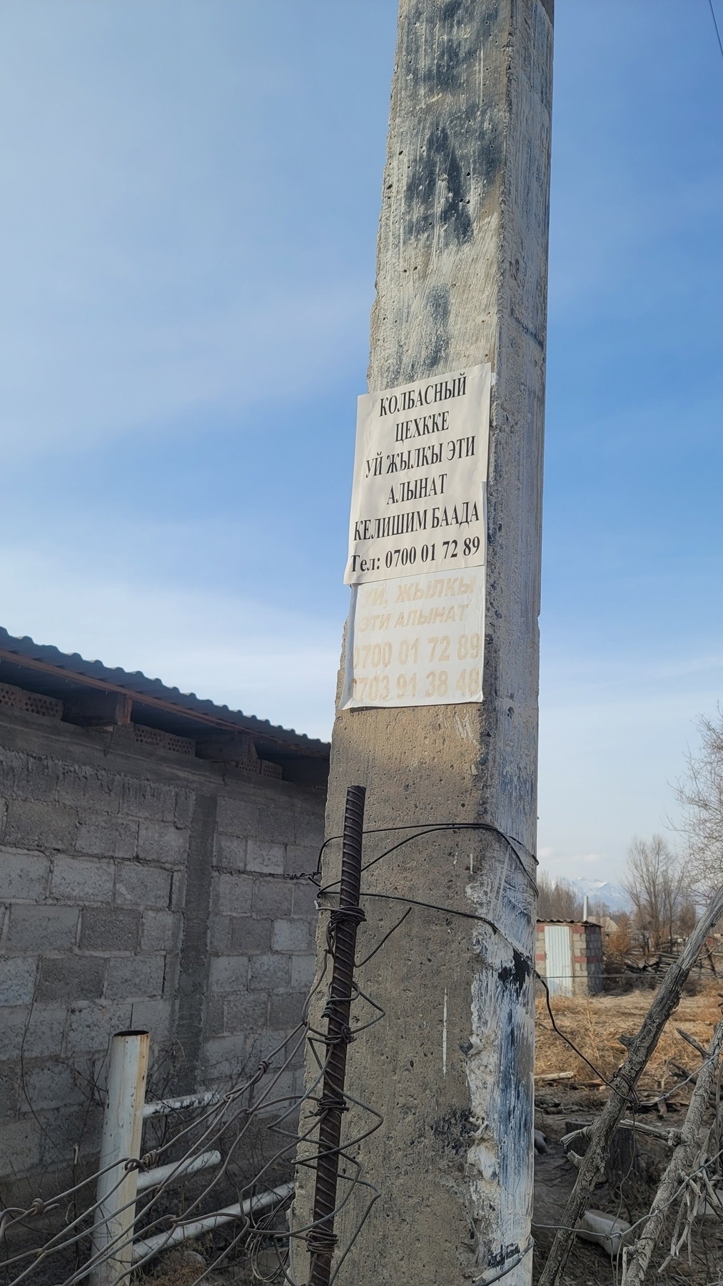 two paper signs with typed Kyrgyz text posted on a tall, concrete pole