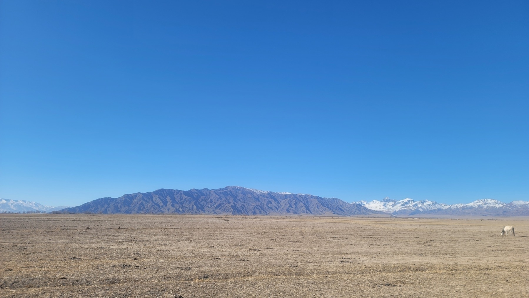 a brown field and a mountain at the end of the field. other snowy mountains in the distance