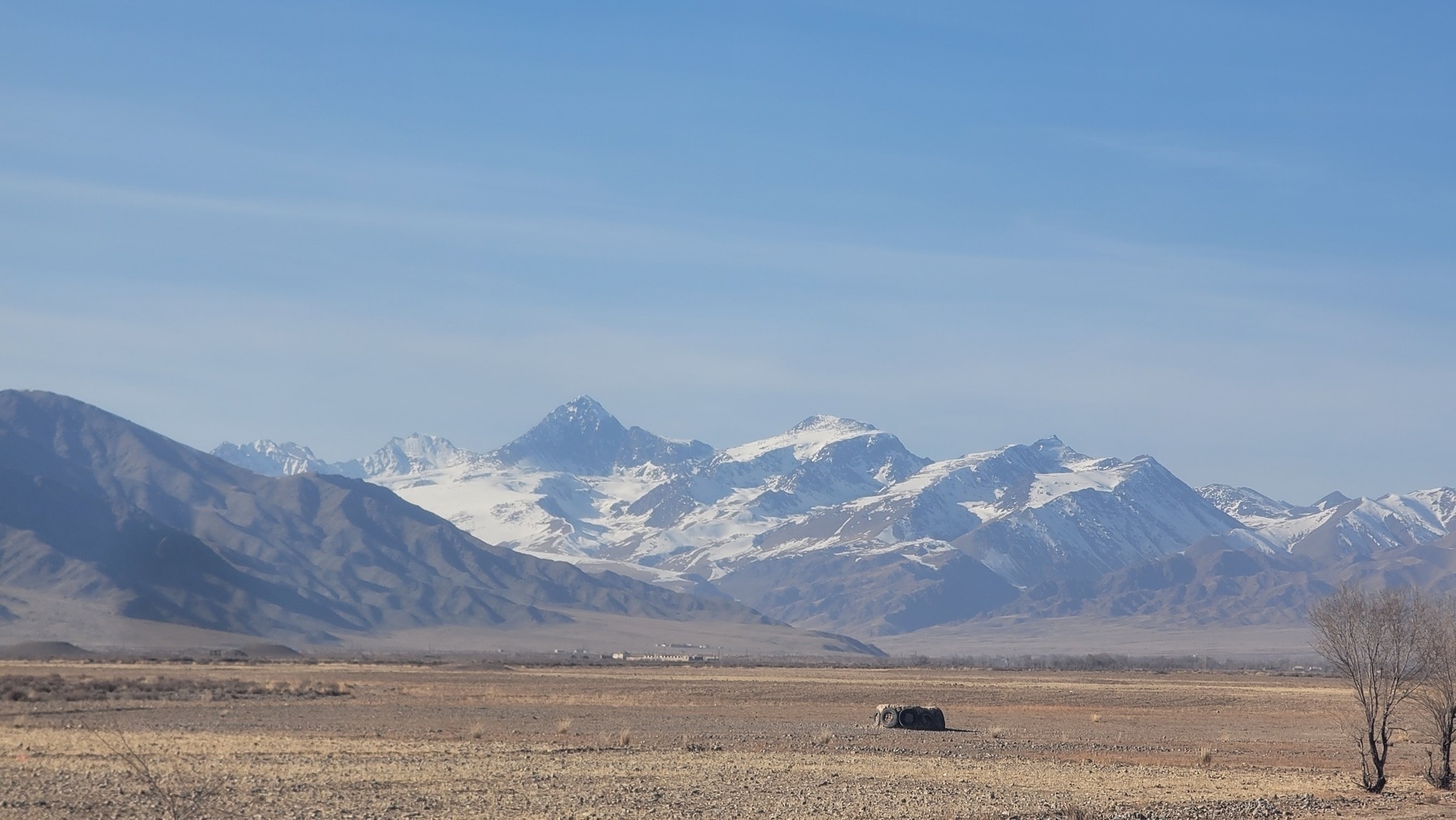 a couple bare trees on the right; a kok boru goal (built up mound with tires around it); field in the foreground stretching into the background, where it meets with mountains