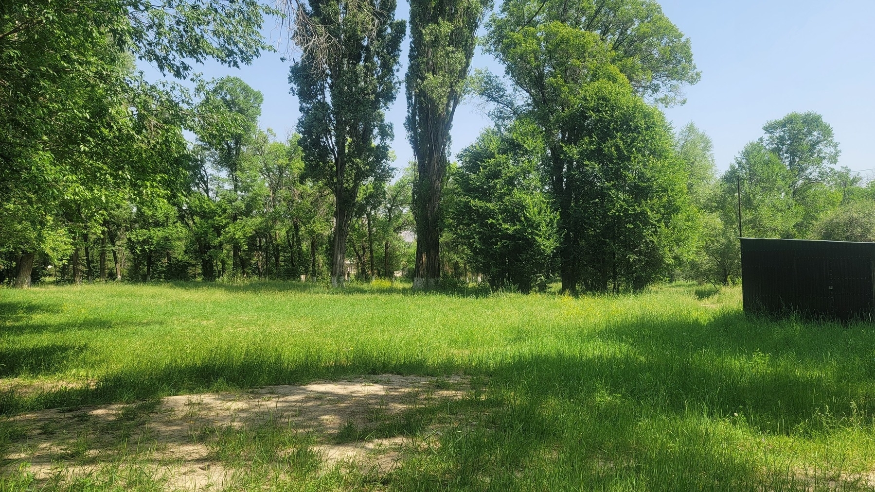 grassy field bordered by tall trees with green leaves. small, closed abandoned-looking building on the right that is used for skate rentals in the winter