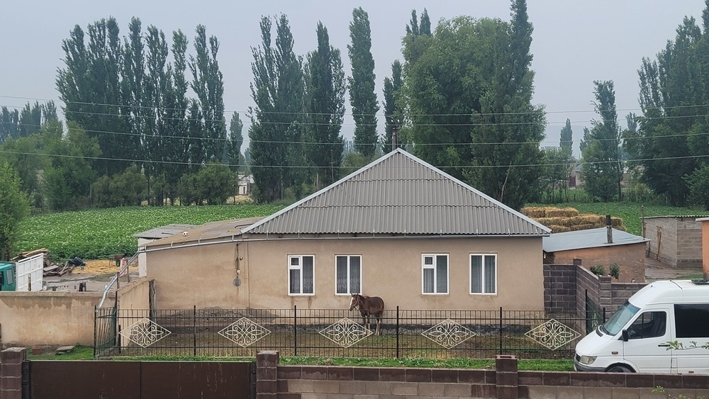 house with a brown foal in the yard in front; soccer ball on the left side of the roof; green field (of potatoes?) to the left and back from the house. picture taken from a second floor room looking down at their house (is that creepy? :) )