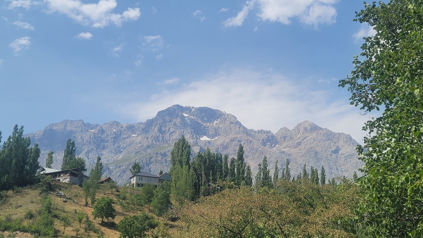 view of mountains with trees in front