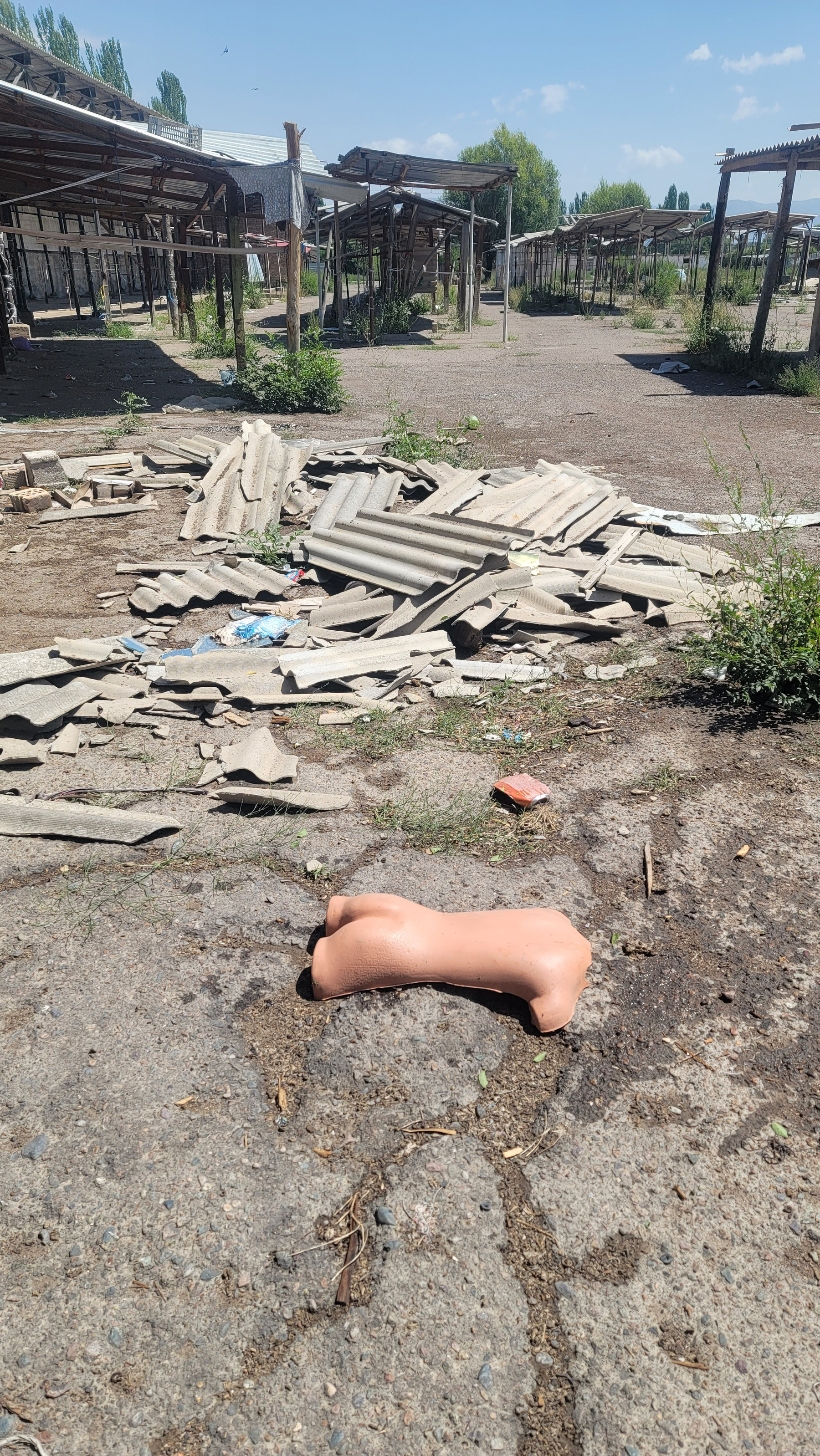 bare, plastic back torso piece of a mannequin on the ground among scrap roof pieces