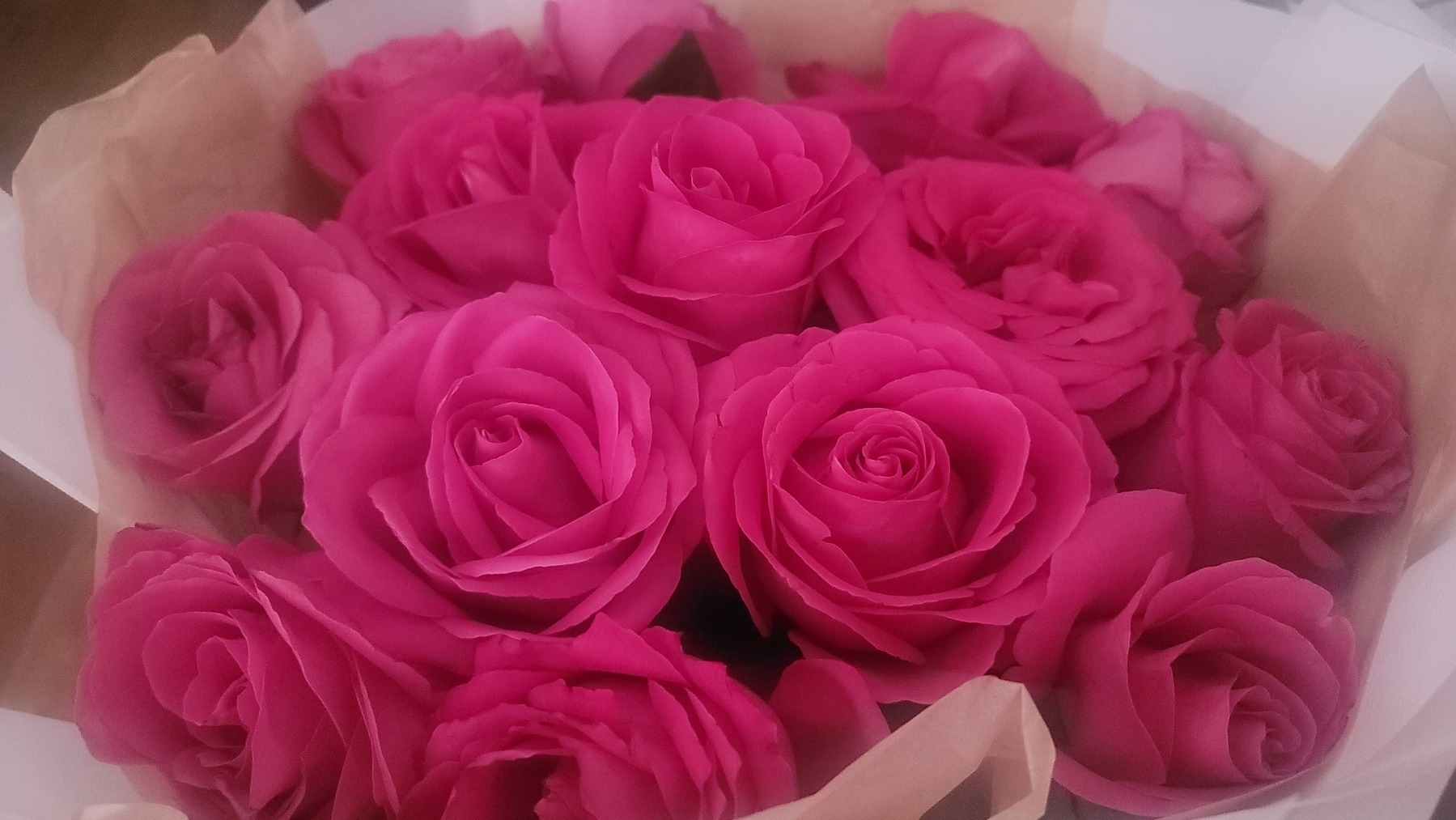 Bouquet of pink roses