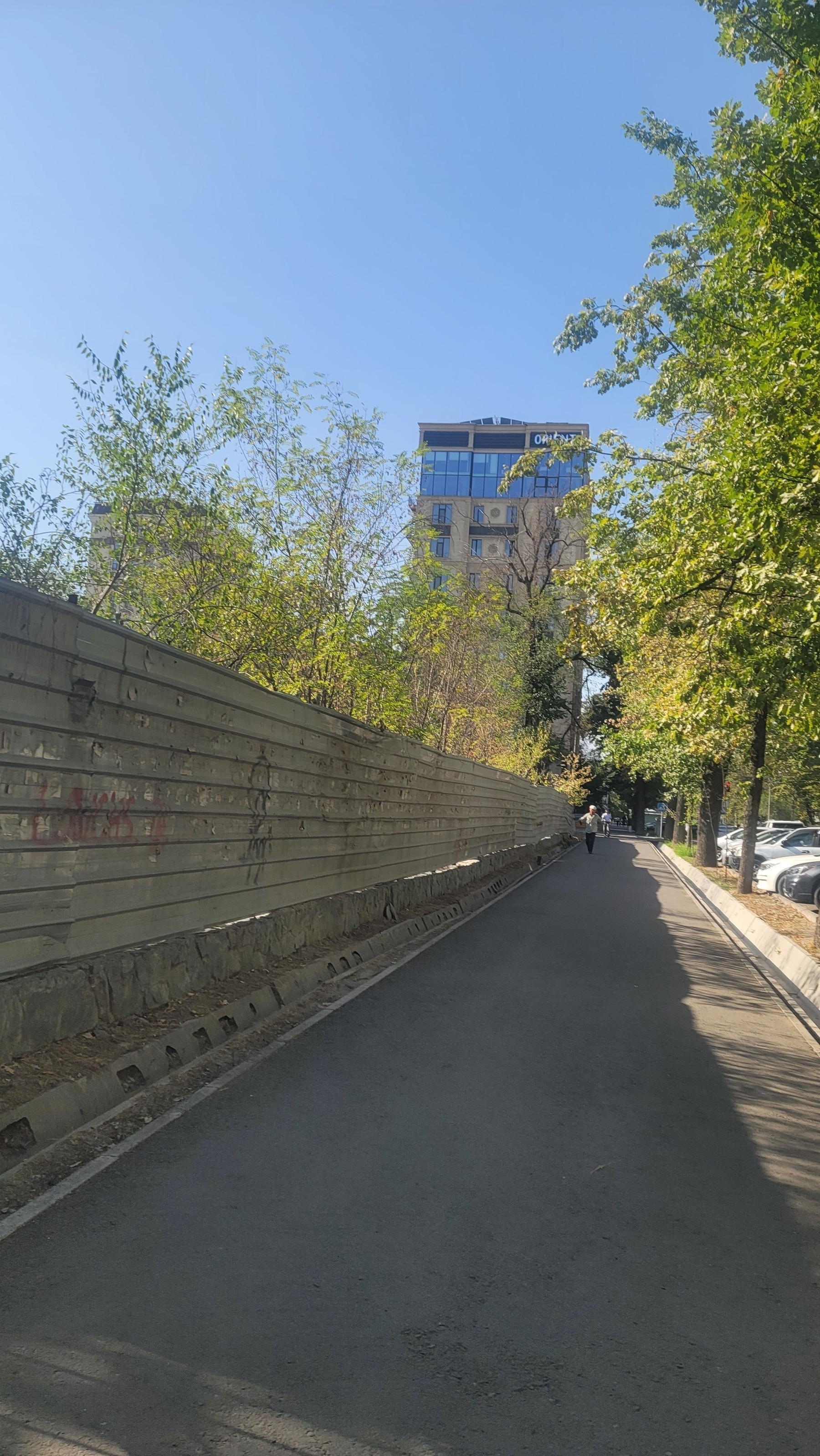 Sidewalk next to a tall, tin fence on the left. Some light green trees behind the fence, some light green trees along the right side of the sidewalk. 8-floor building up ahead in the background