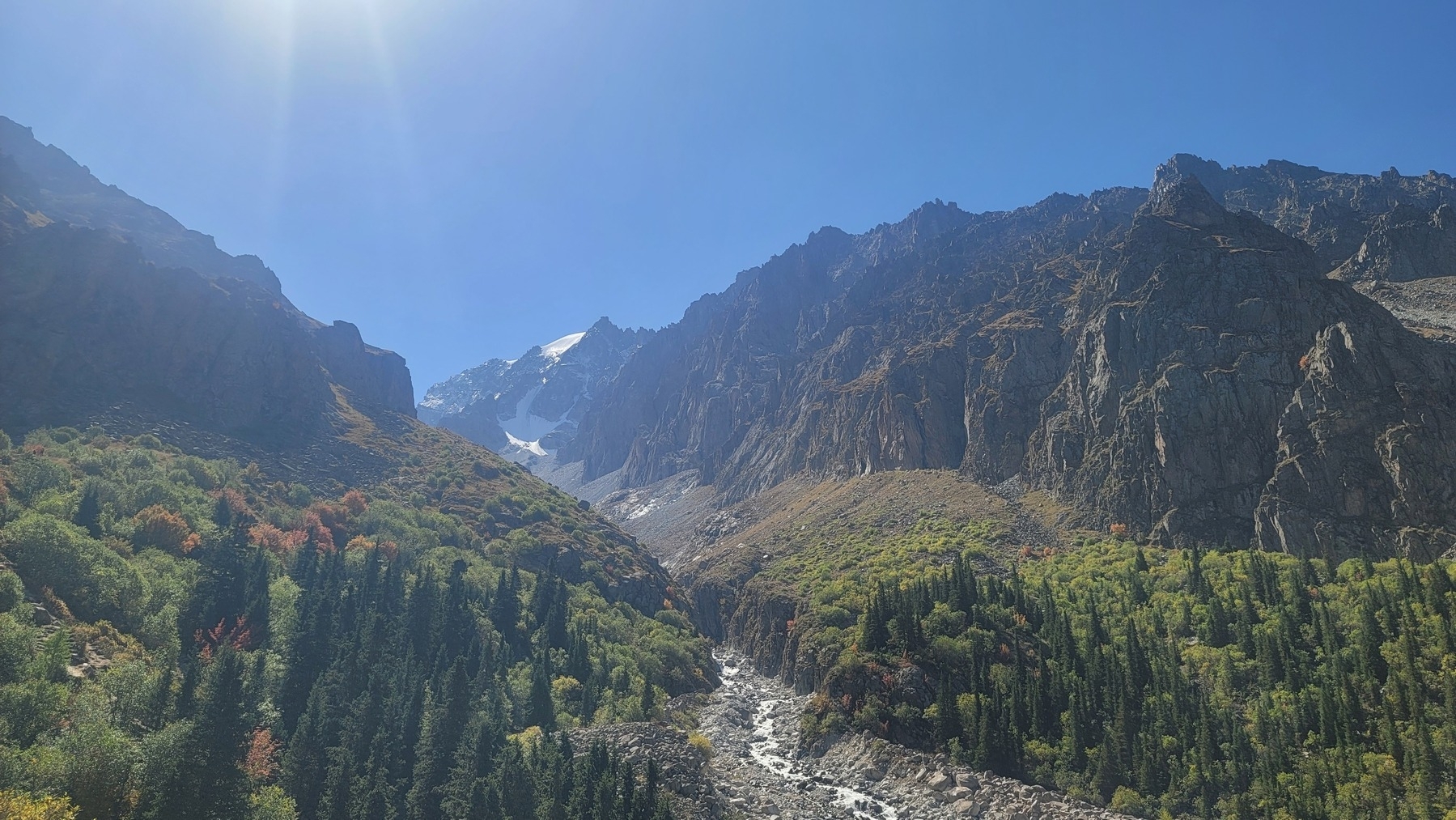 Mountains, trees, and a stream on a sunny day with a clear blue sky