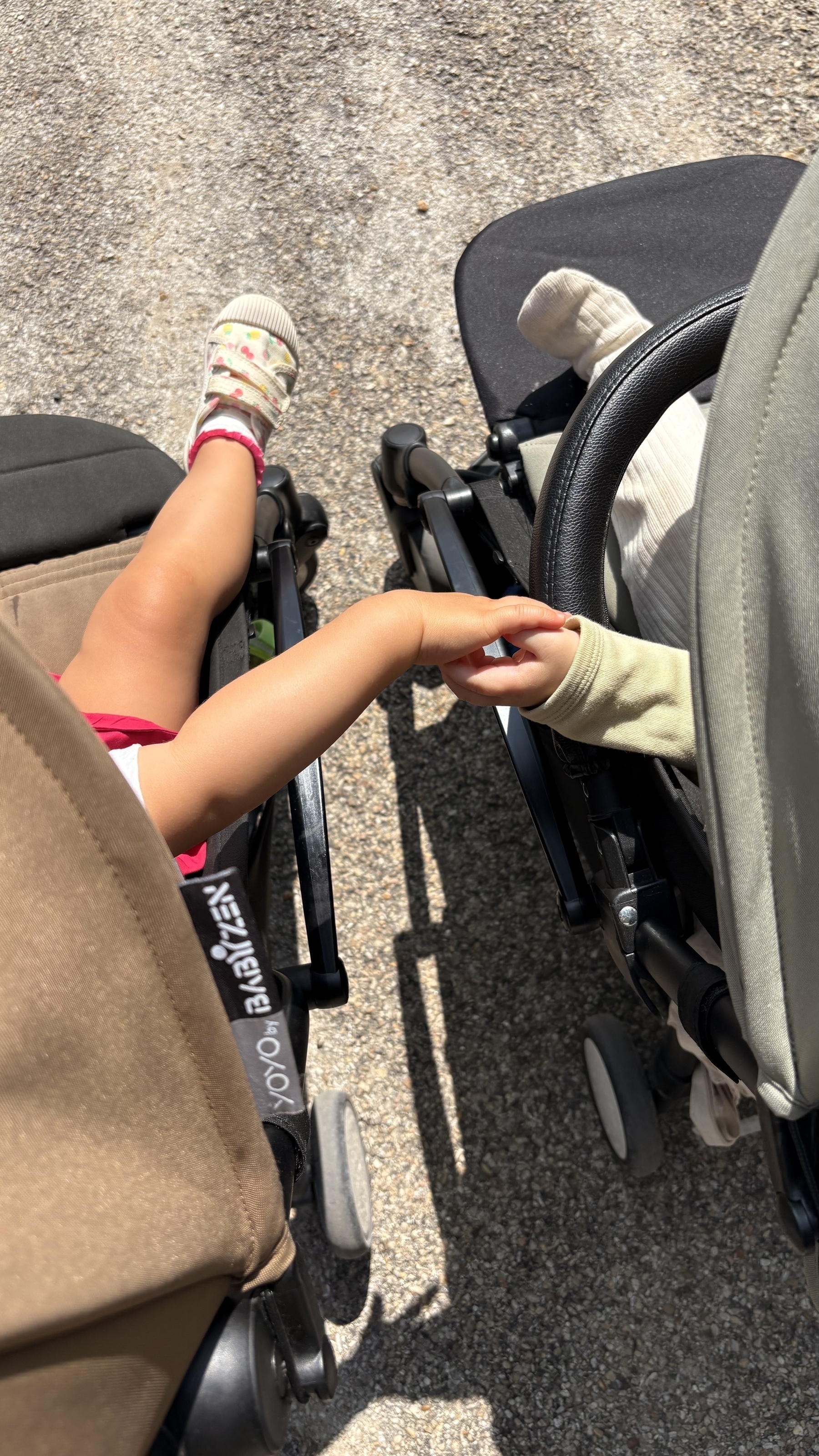 Two children in strollers are reaching out to hold hands.