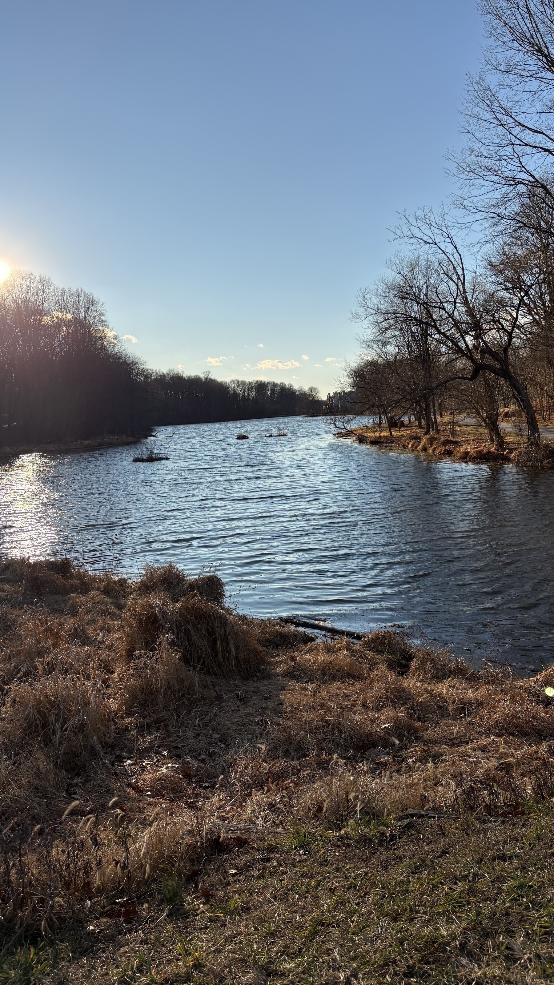 A serene river flows through a peaceful landscape with leafless trees under a clear blue sky.