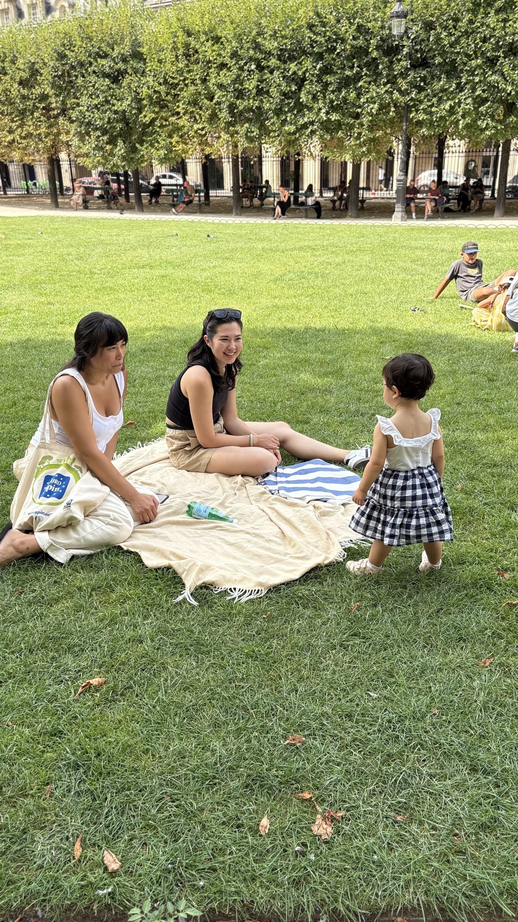 Two women are sitting on a picnic blanket on a grassy area while a small child stands nearby.