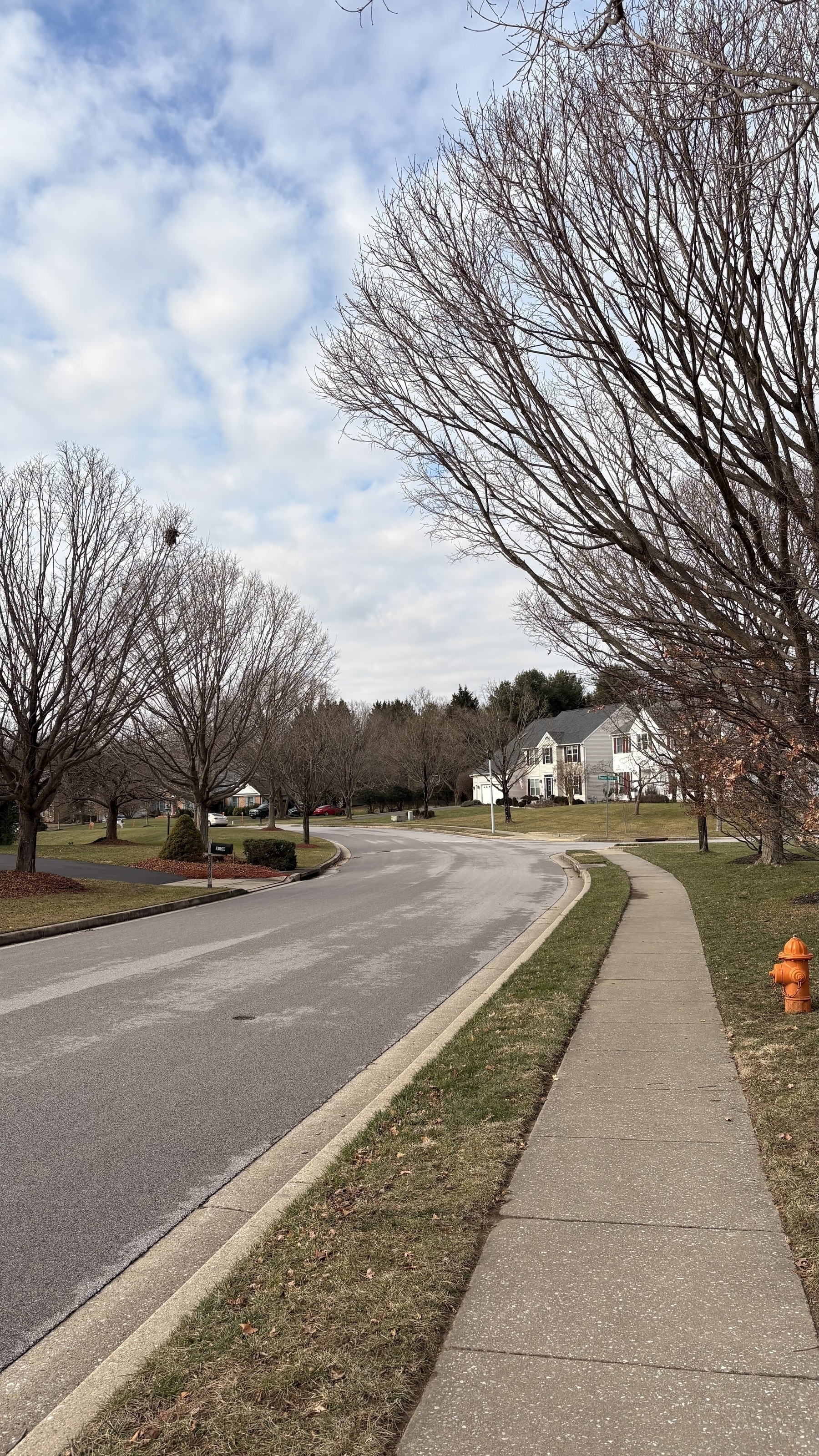 A suburban street features leafless trees lining the sidewalk, with houses and a fire hydrant visible under a partly cloudy sky.