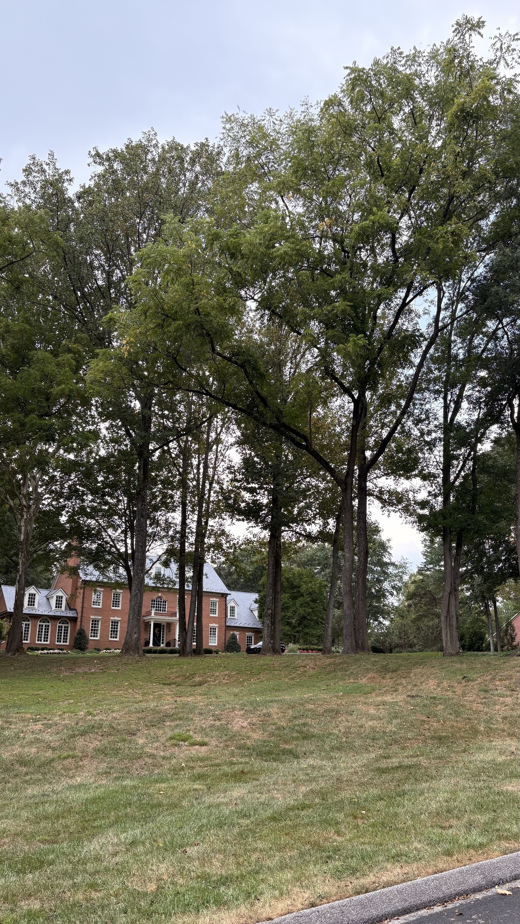 A large brick house is nestled among tall trees with a grassy lawn in the foreground.
