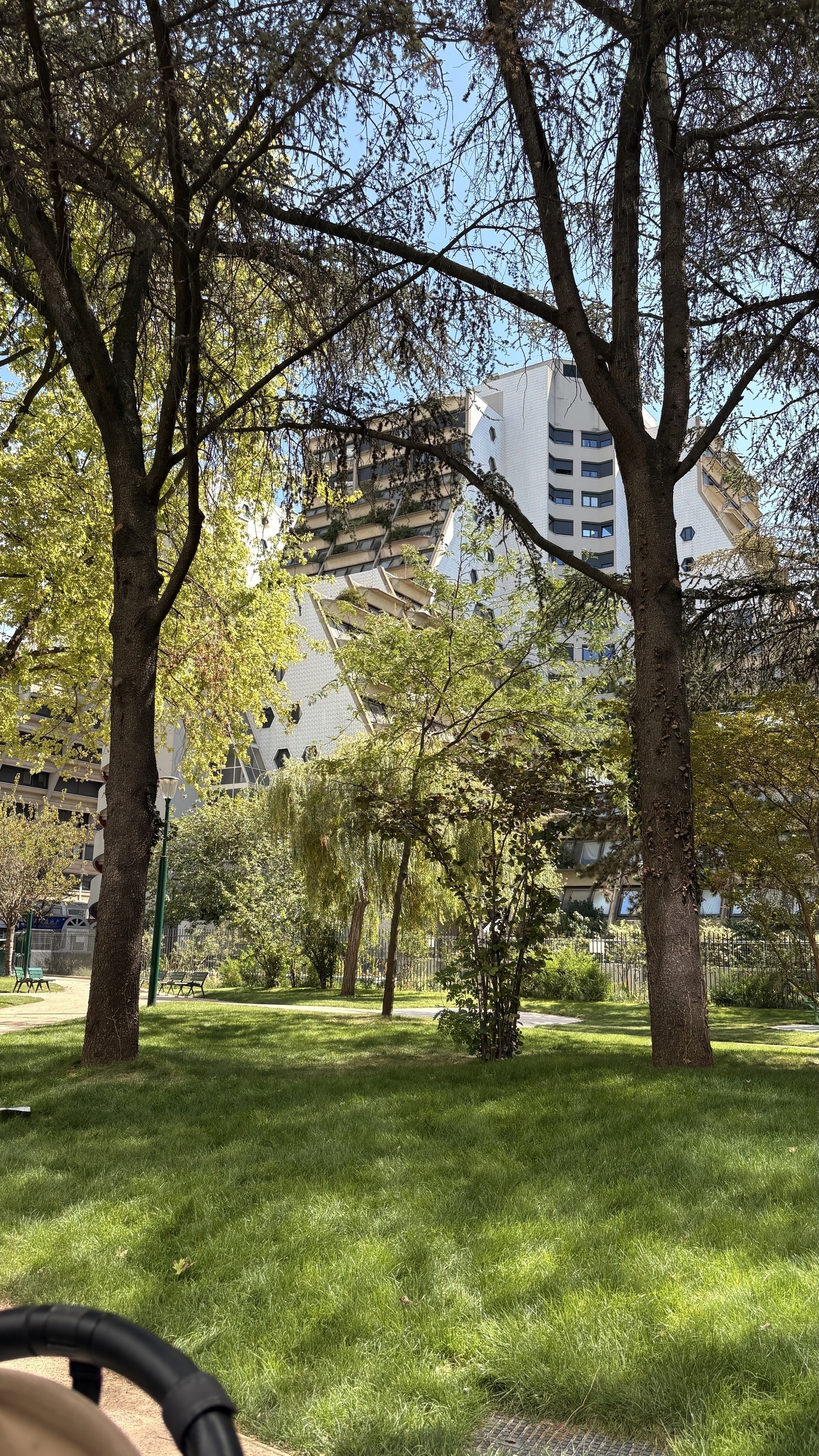 A green park with tall trees is situated in front of a distinctive multi-story building.