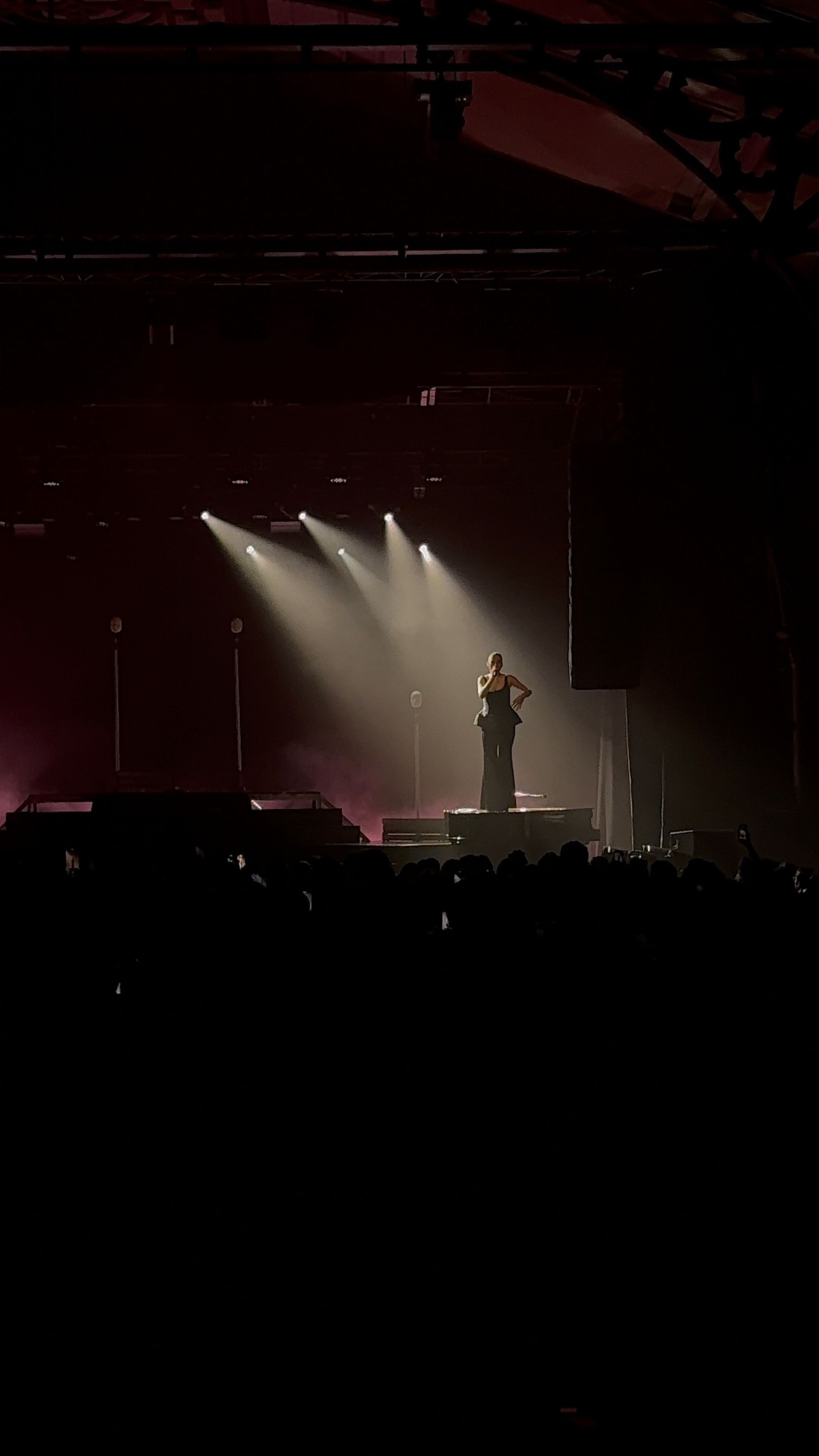 A performer is singing on a dimly lit stage with spotlights and an audience in the foreground.