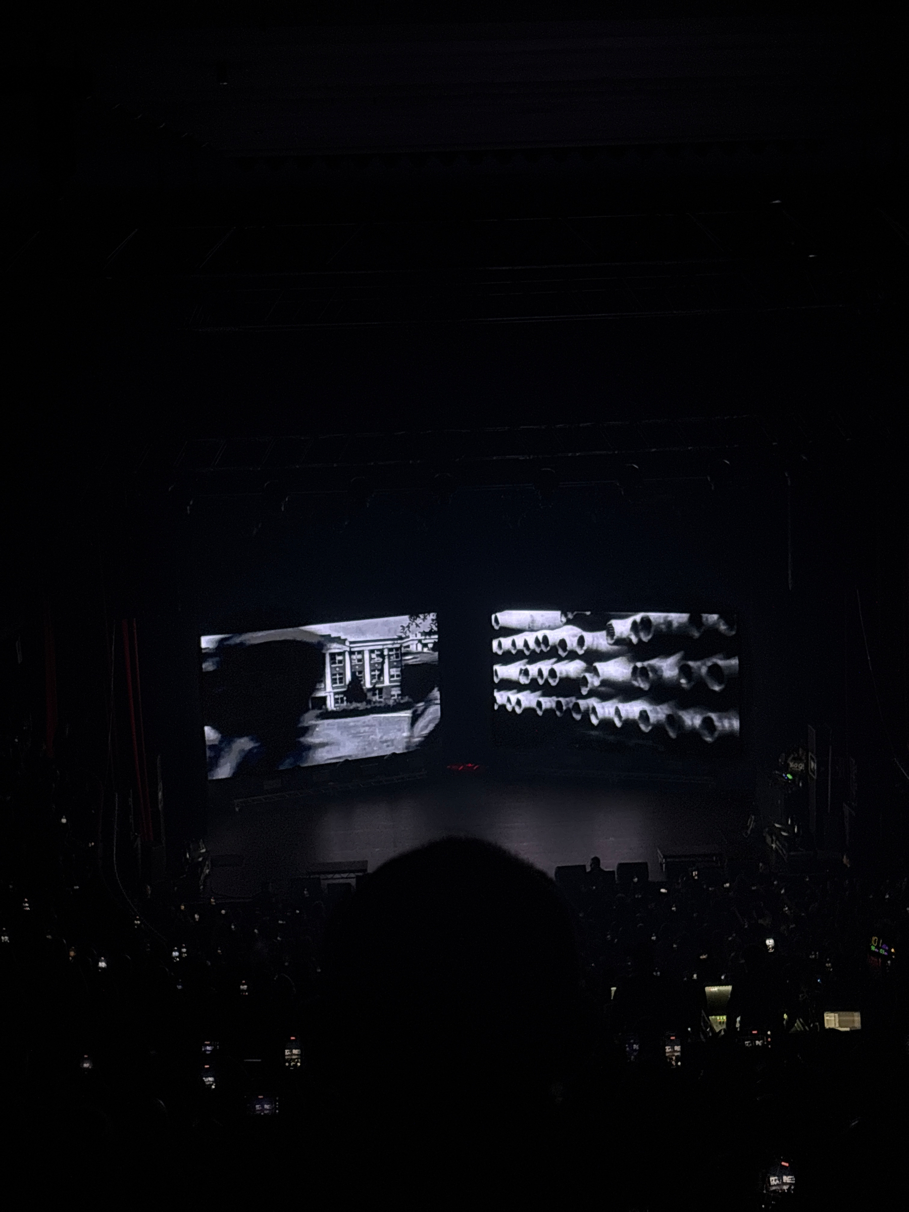 A performer is on stage in front of a cheering crowd, with bright stage lights and a large screen displaying a vintage black-and-white image in the background.