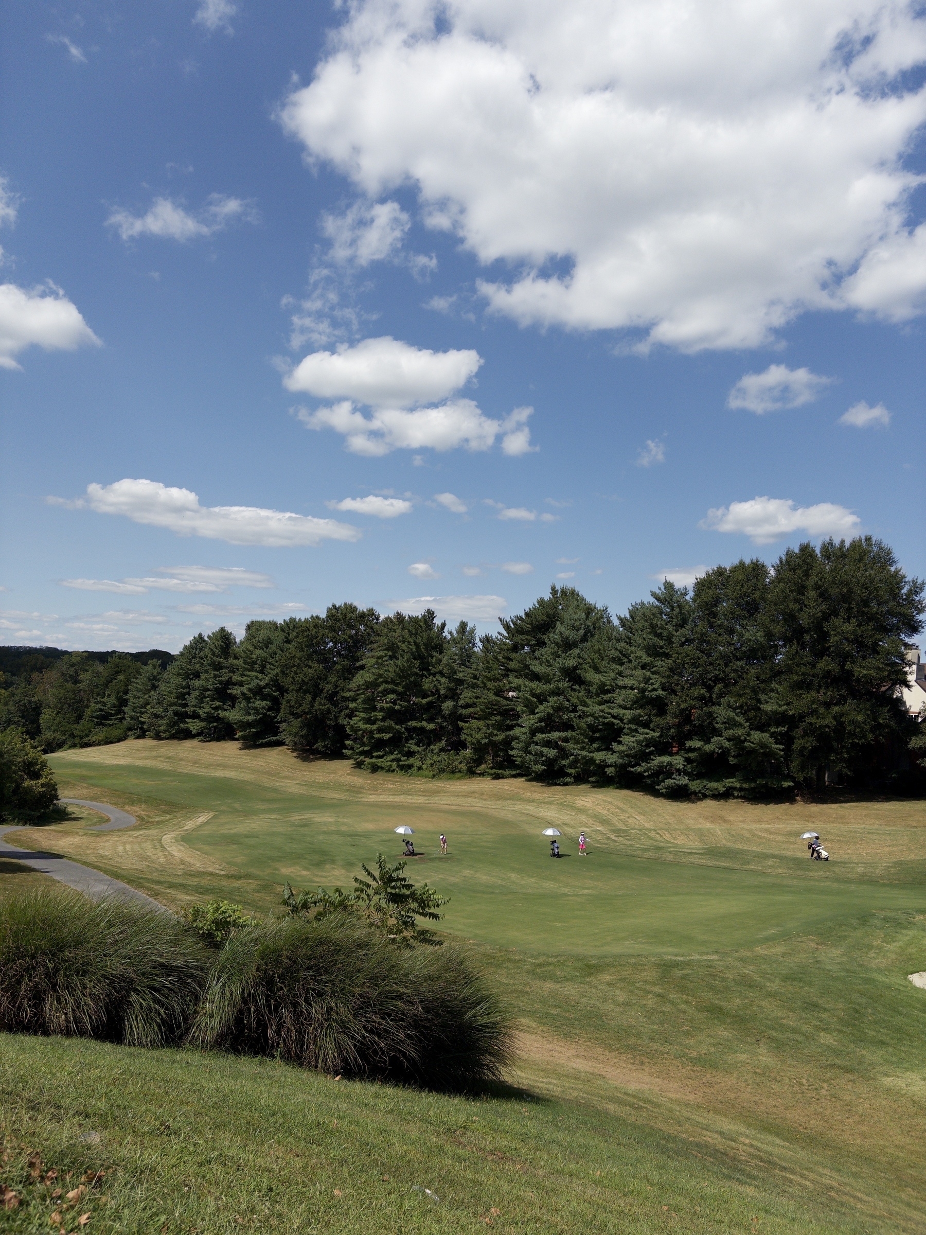 A golf course with players is set against a backdrop of trees and a partly cloudy blue sky.