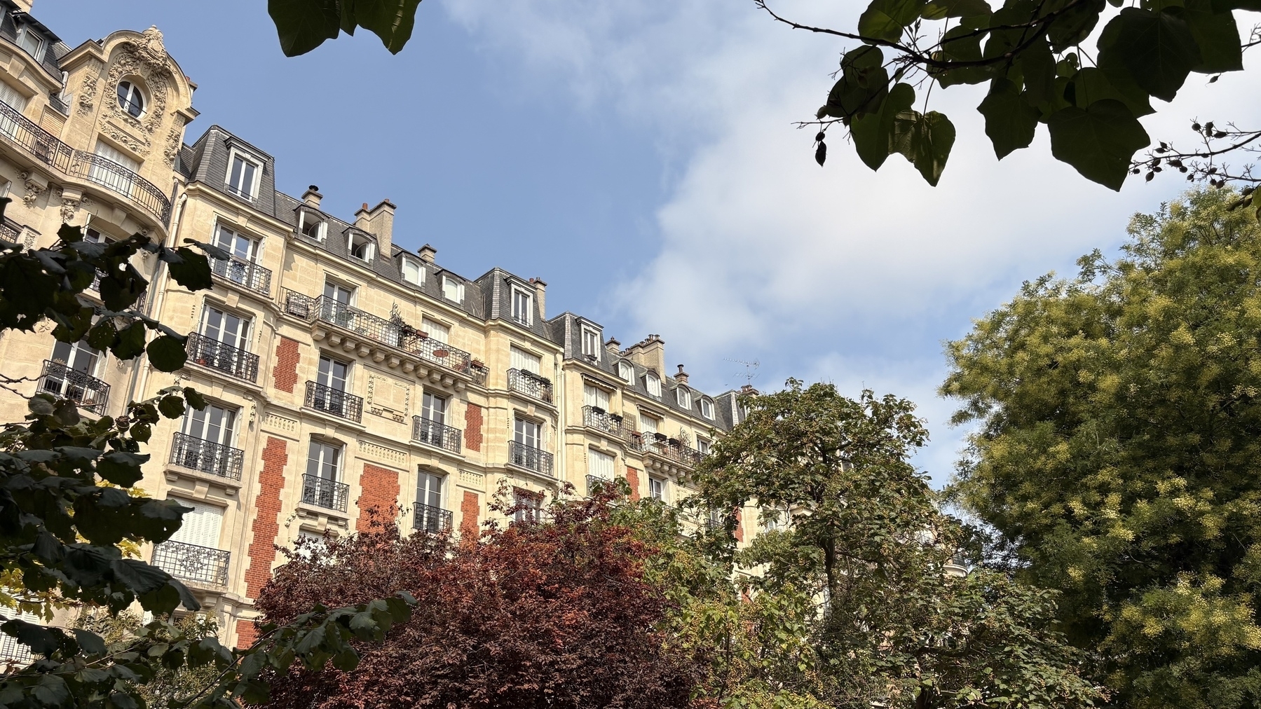 A charming Parisian building with classic architecture is framed by lush trees under a blue sky.