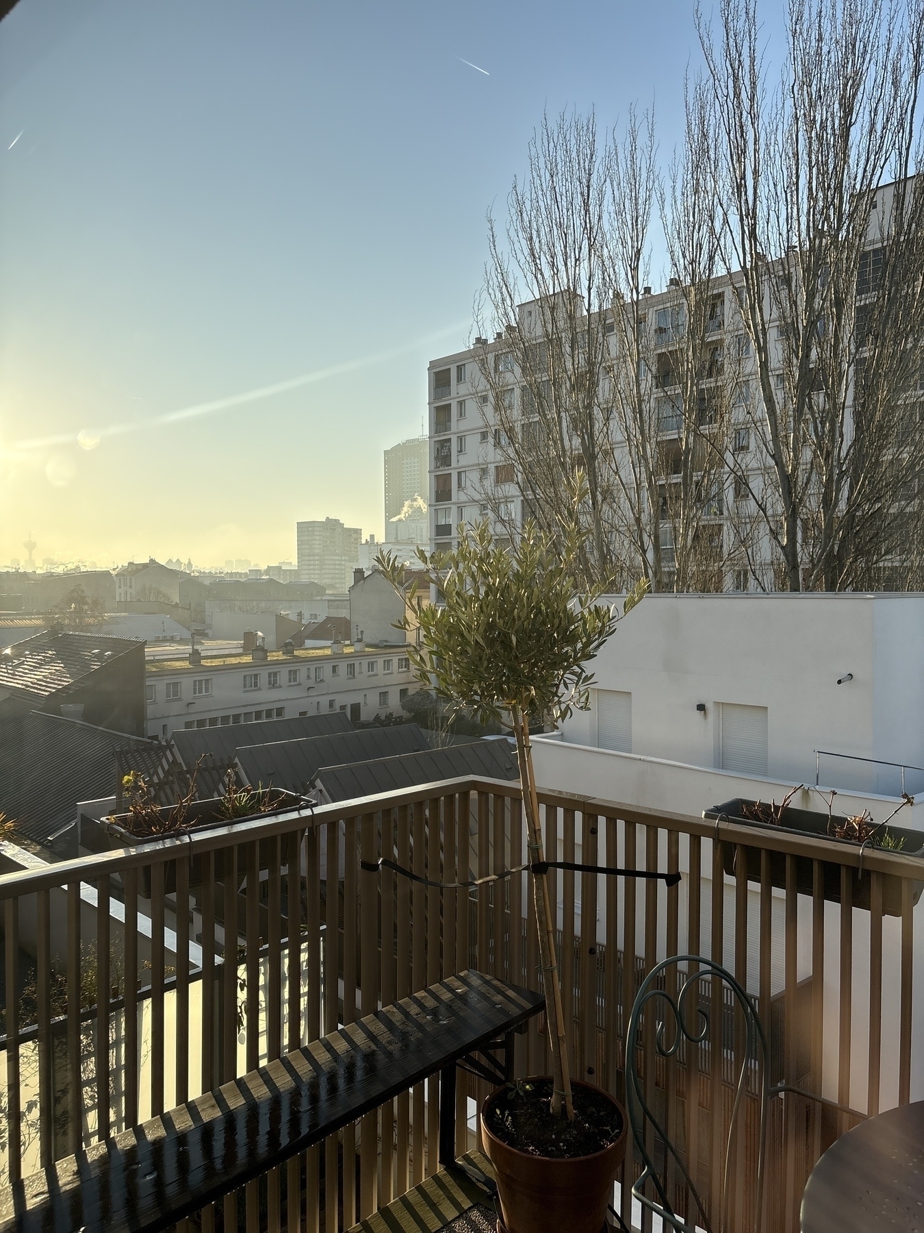 A sunlit cityscape with a view from a balcony, featuring a potted tree, wooden railing, and distant buildings under a clear sky.