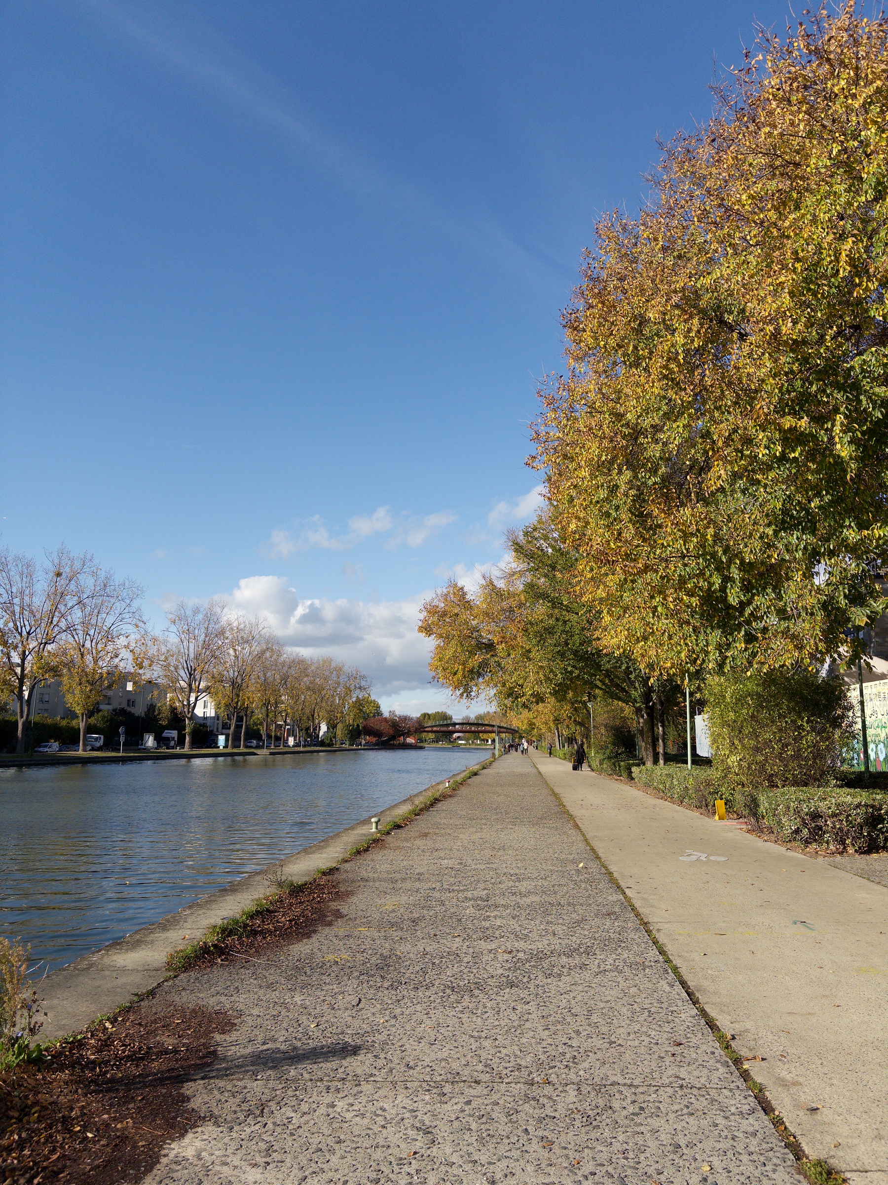 A tranquil riverside path lined with autumn trees stretches into the distance under a clear blue sky.