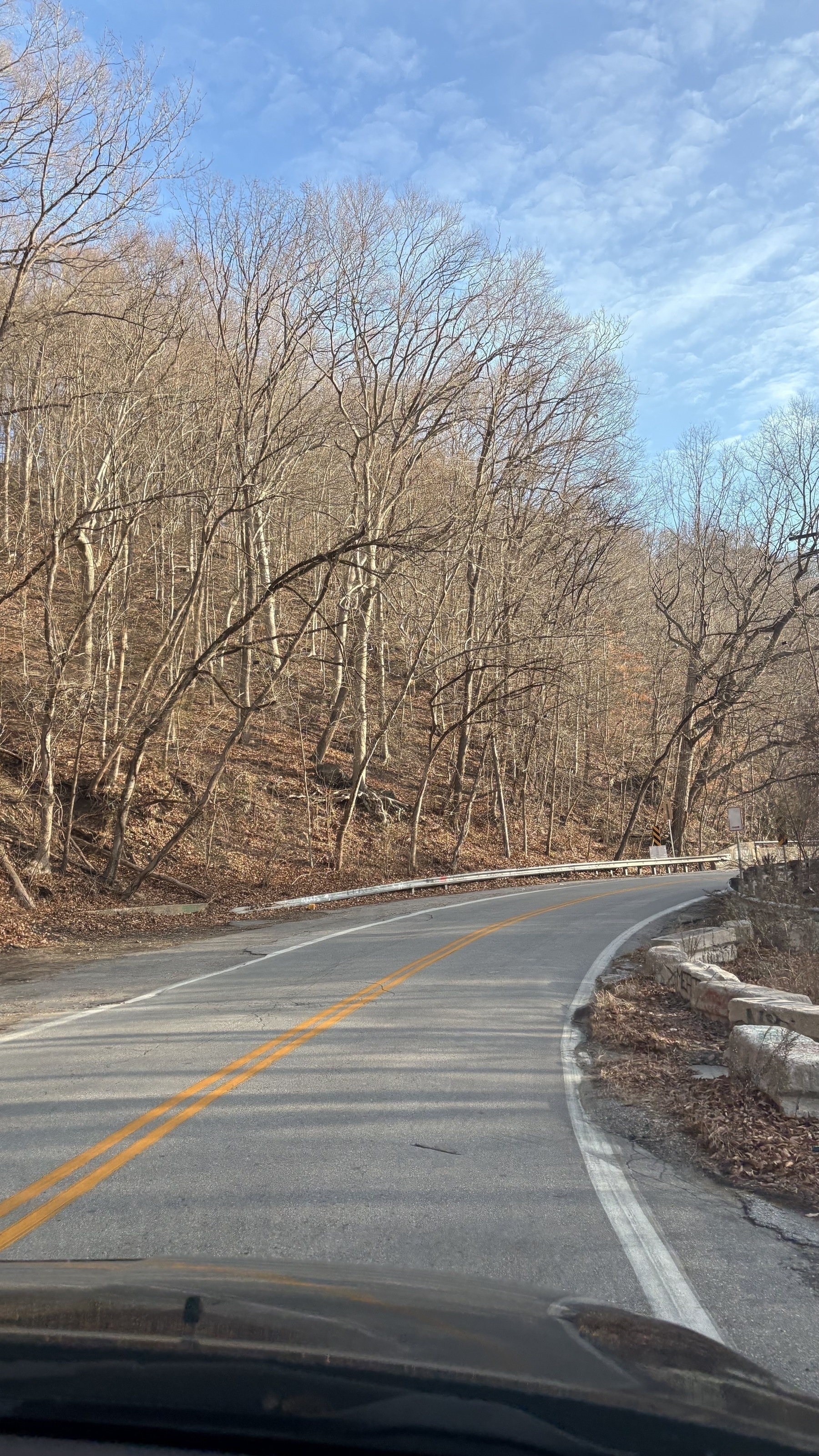 A winding road curves through a leafless forest under a partly cloudy sky.