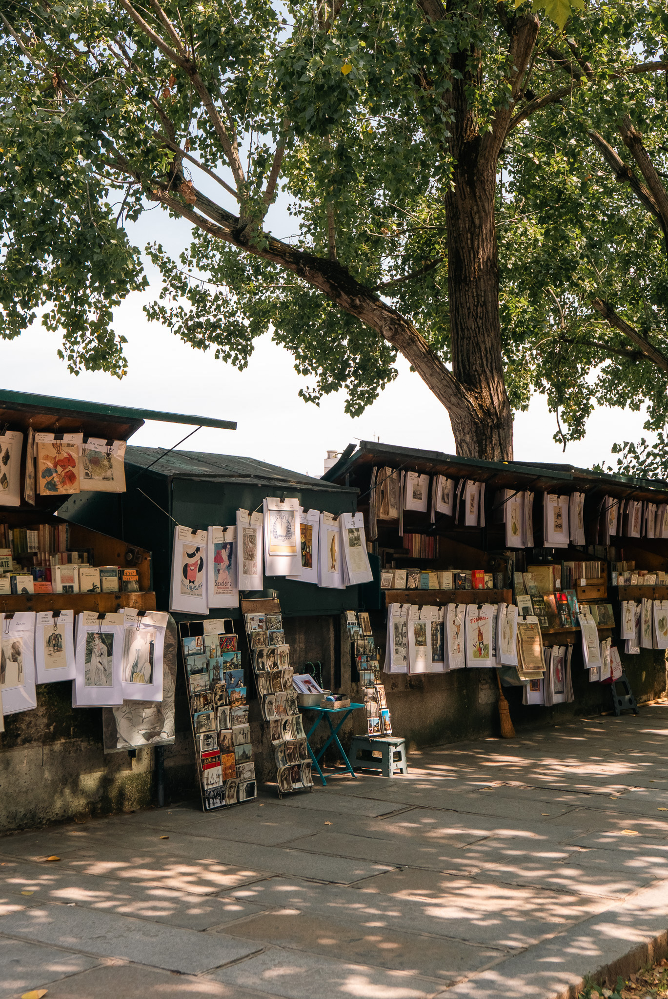 A street market stall under large trees displays various art prints, books, and postcards on a sunny day.