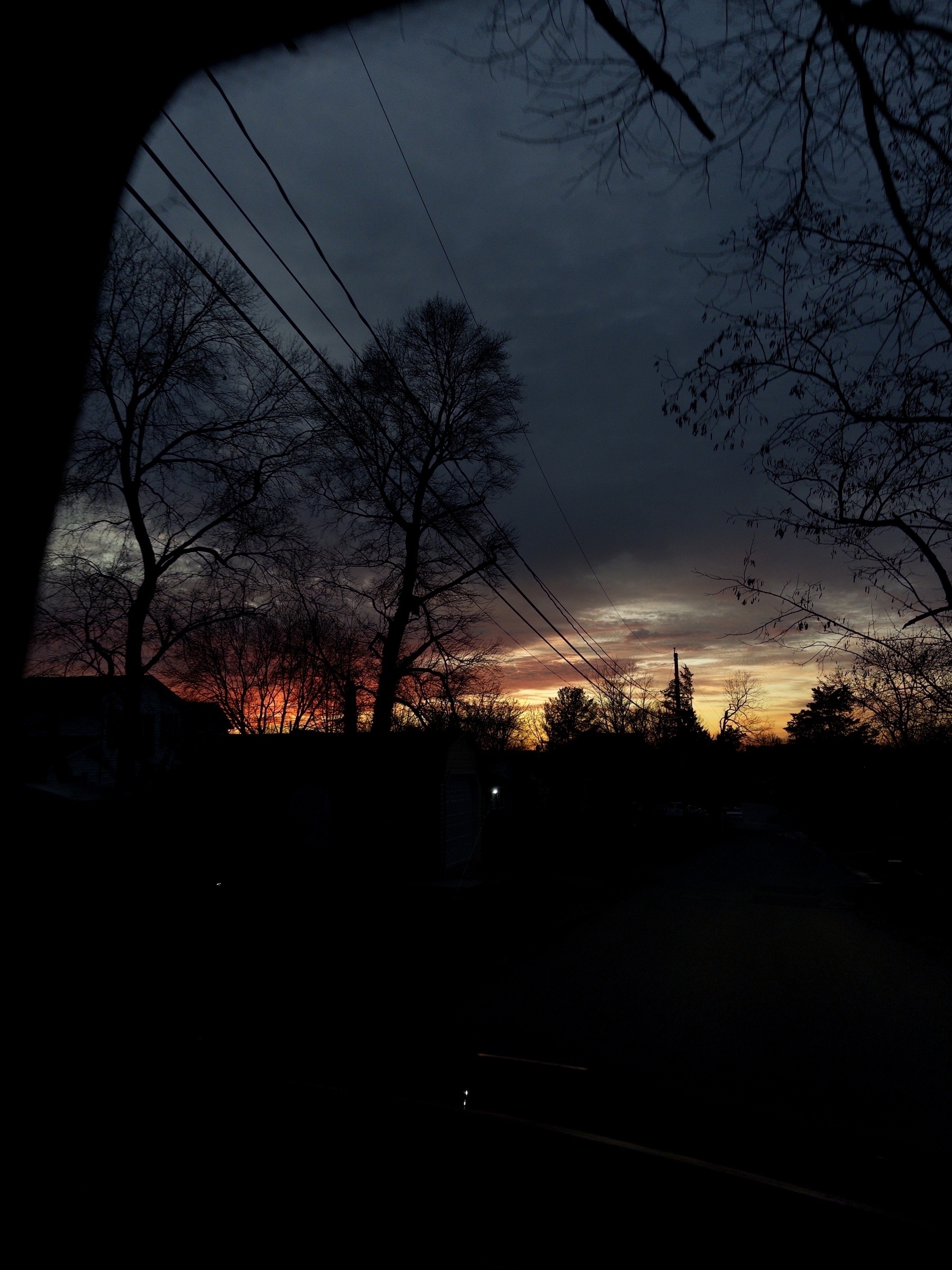 A colorful sunset casts a warm orange and purple glow as silhouettes of bare trees and telephone wires create a striking contrast against the sky.