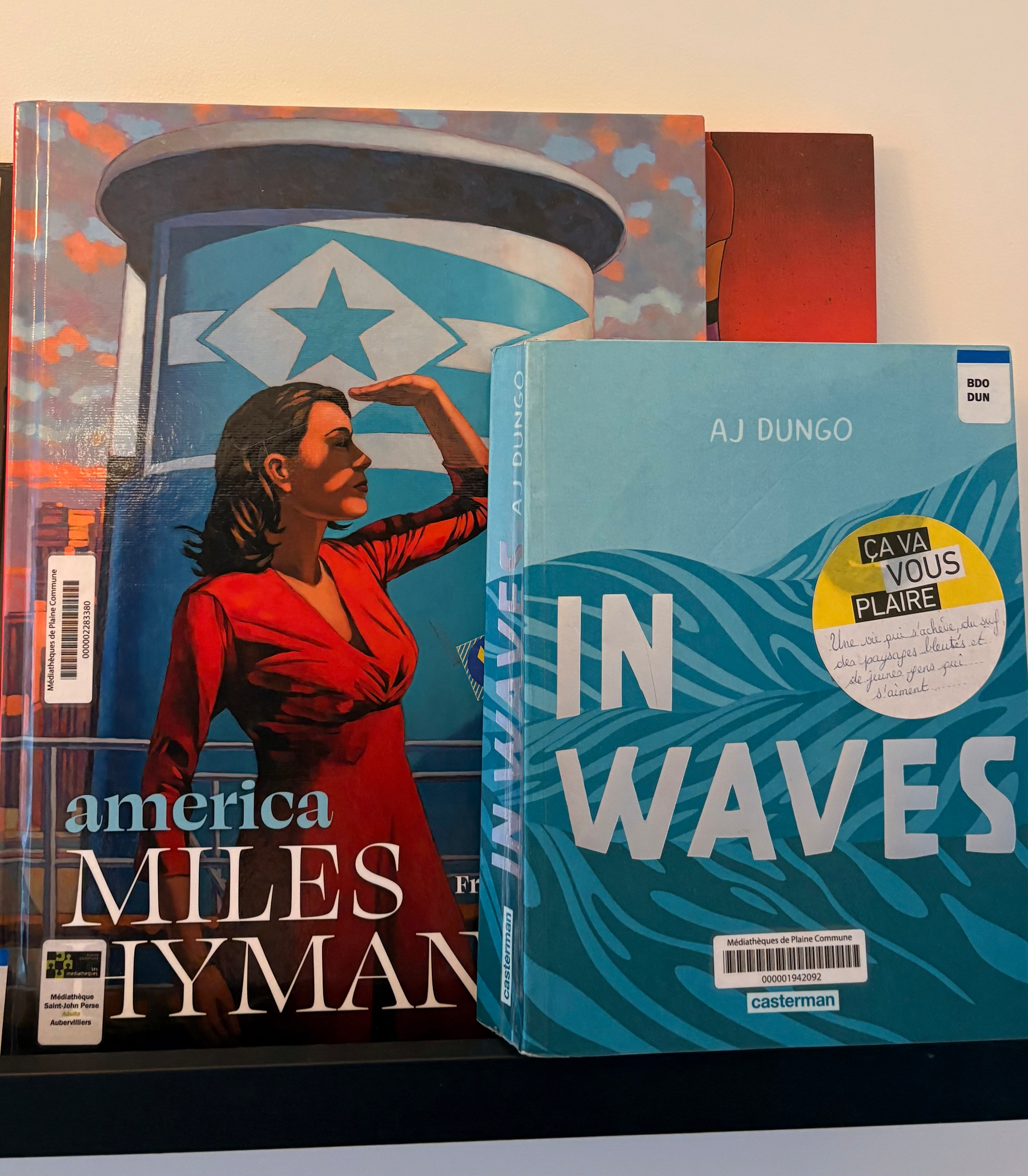 Two books, one titled america by Miles Hyman featuring a woman in a red dress on the cover, and another titled IN WAVES by AJ Dungo with a blue ocean wave design, are displayed on a shelf.