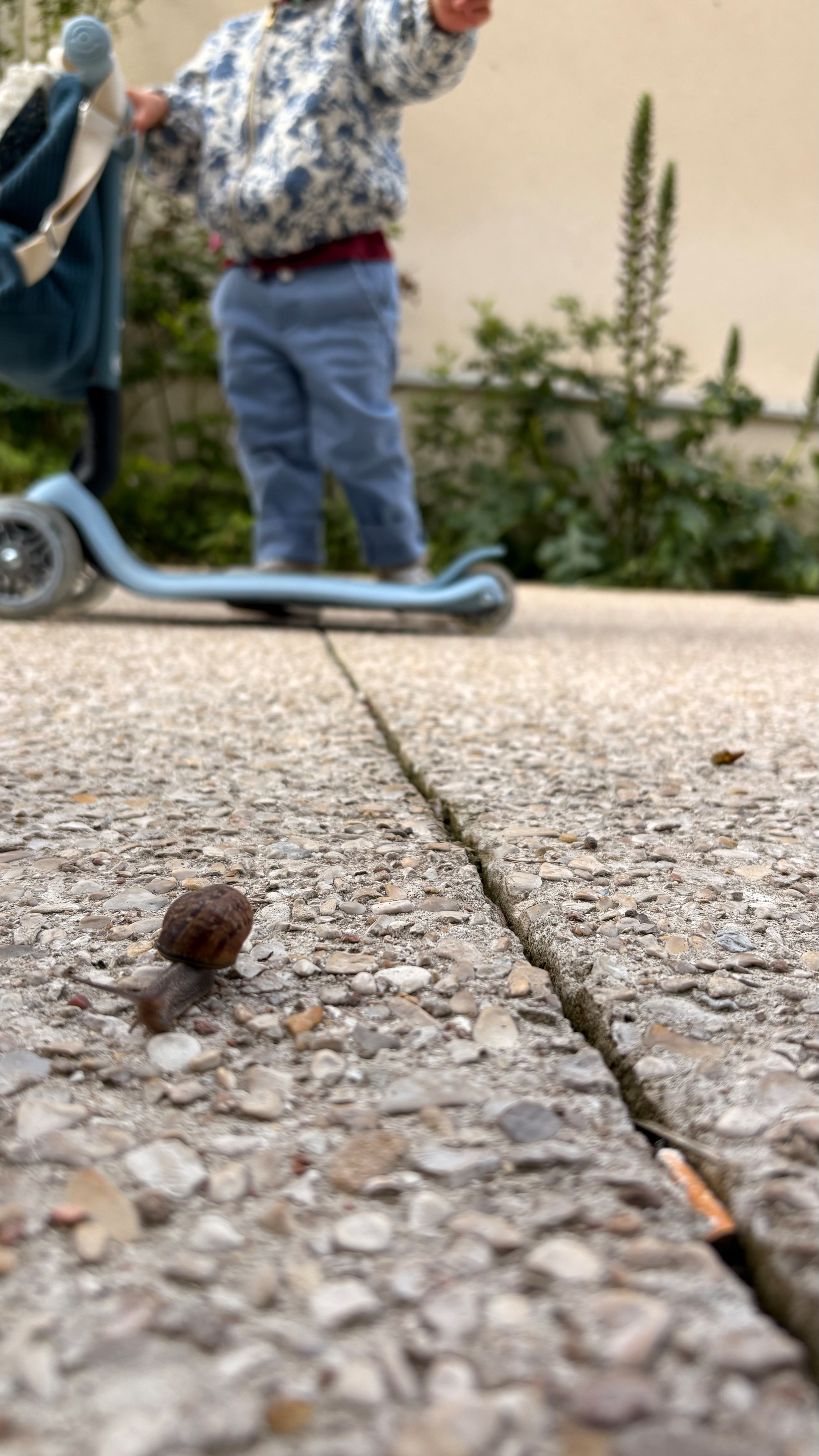 A small snail is crawling on a textured surface with a child in the background next to a scooter.