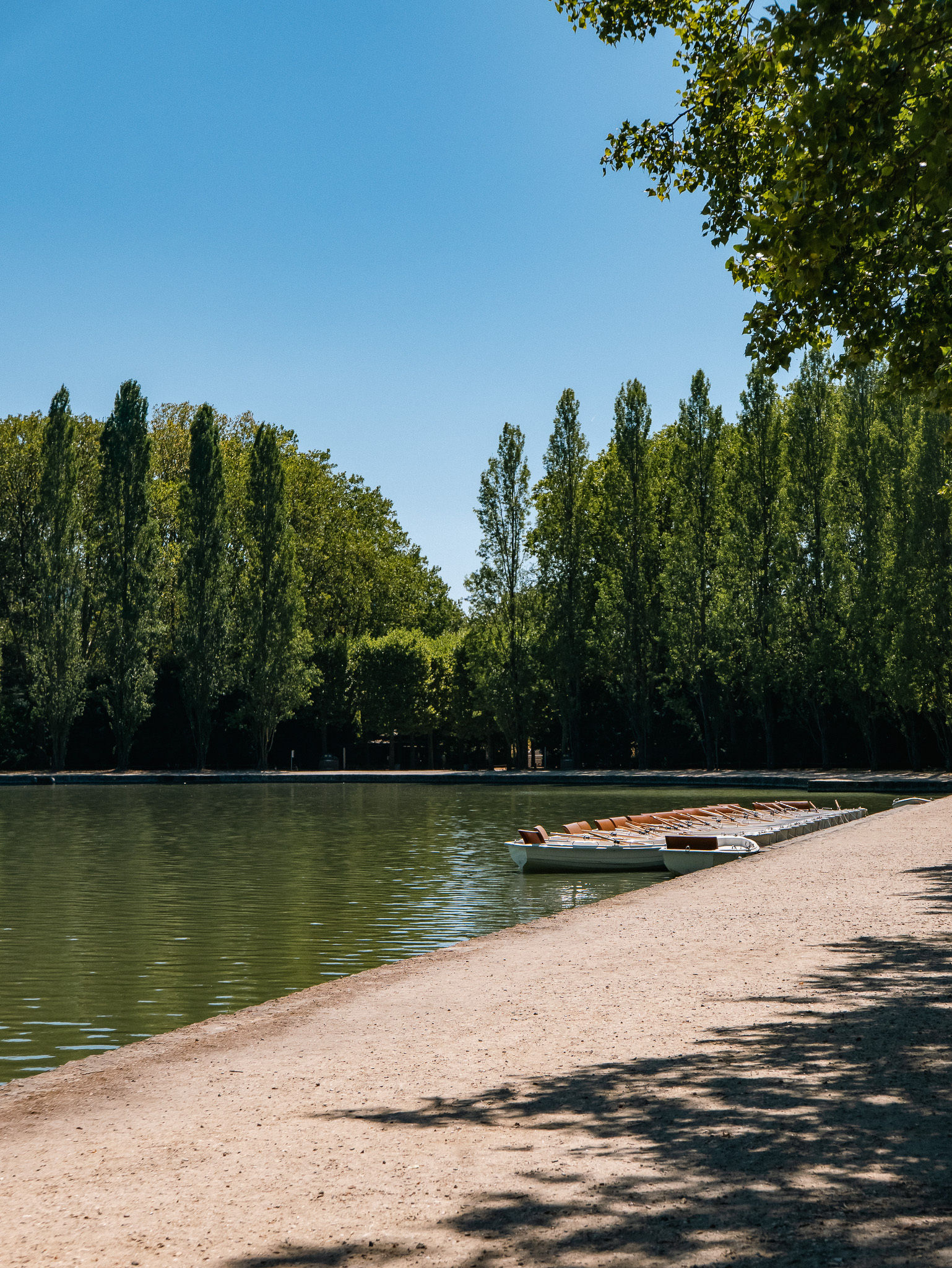 Auto-generated description: A row of small boats is docked along the edge of a calm lake surrounded by tall, leafy trees under a clear blue sky.