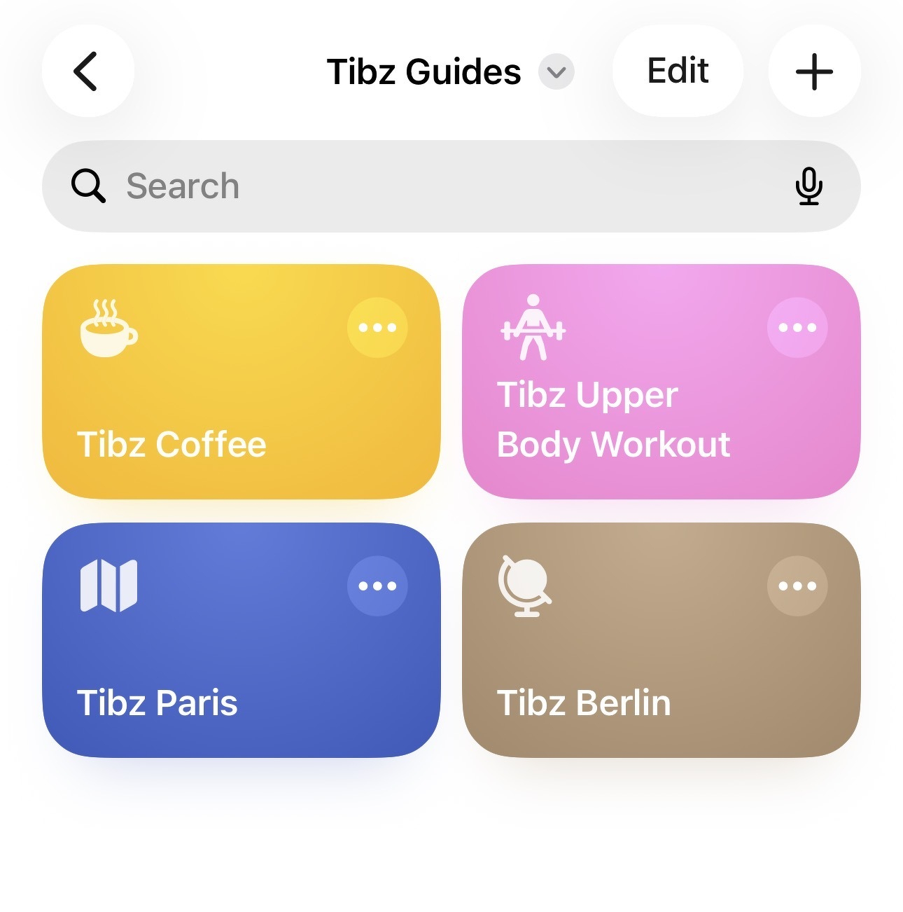 Auto-generated description: Four colored buttons labeled Tibz Coffee, Tibz Upper Body Workout, Tibz Paris, and Tibz Berlin are displayed on a screen under the heading Tibz Guides.