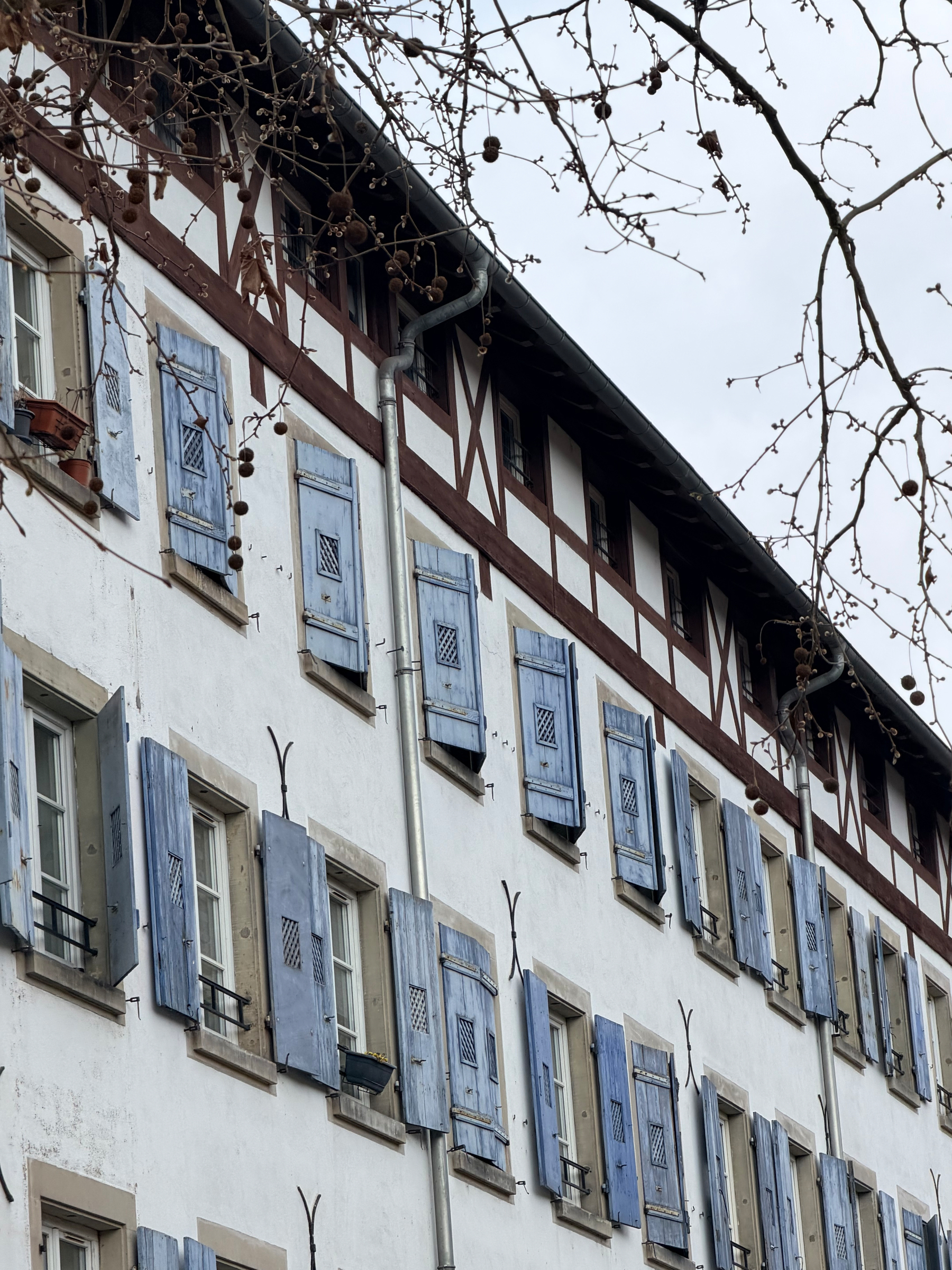 A building with blue shutters and a white facade is framed by bare branches.