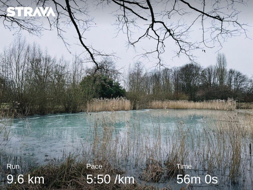 Strava run, 9 km