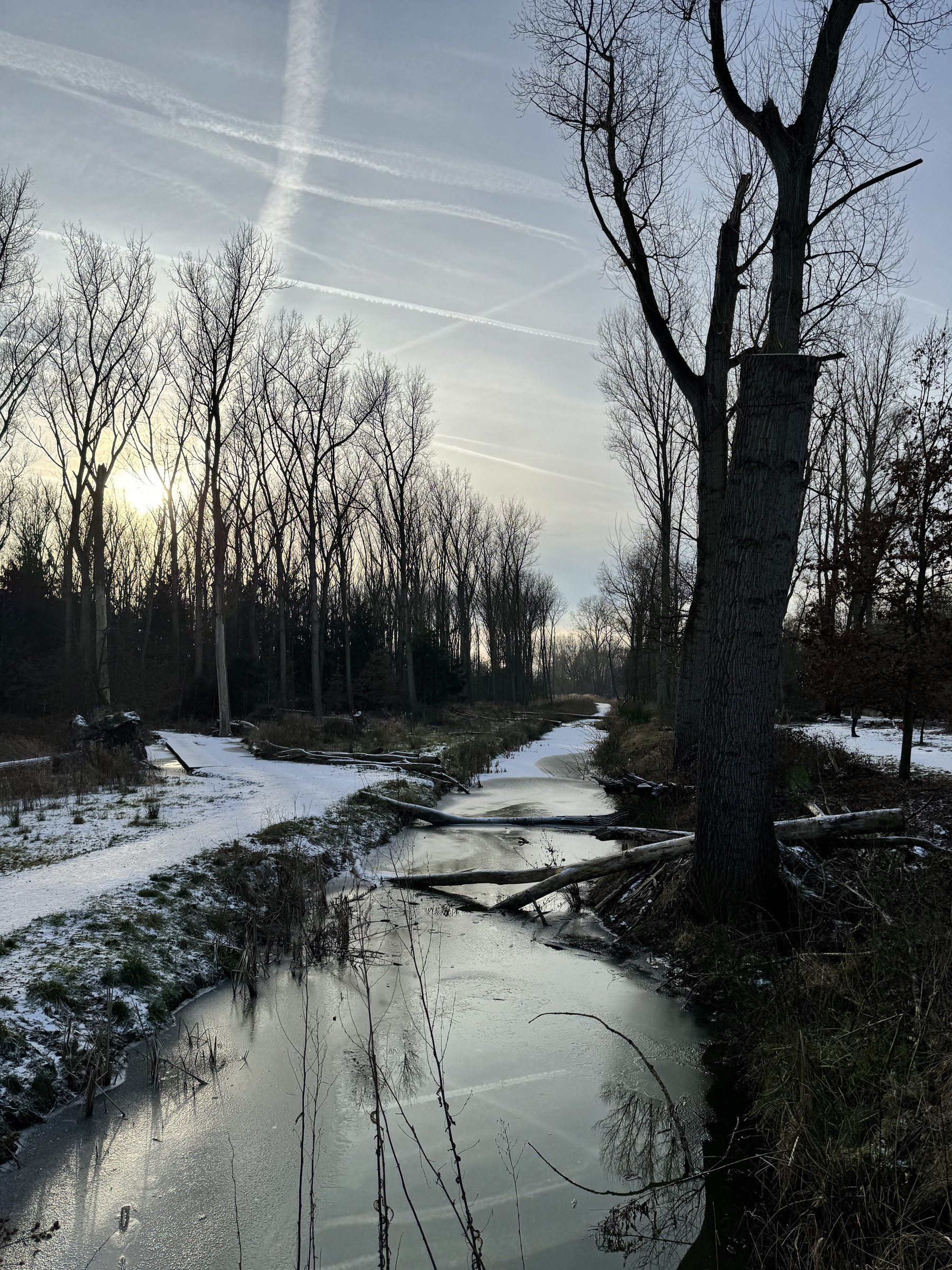 A frozen stream meanders through a snowy landscape, flanked by bare trees against a sky streaked with contrails, hinting at a cold, quiet winter’s day.