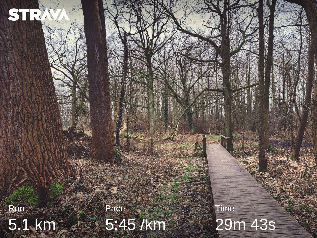 Strava run, 5 km