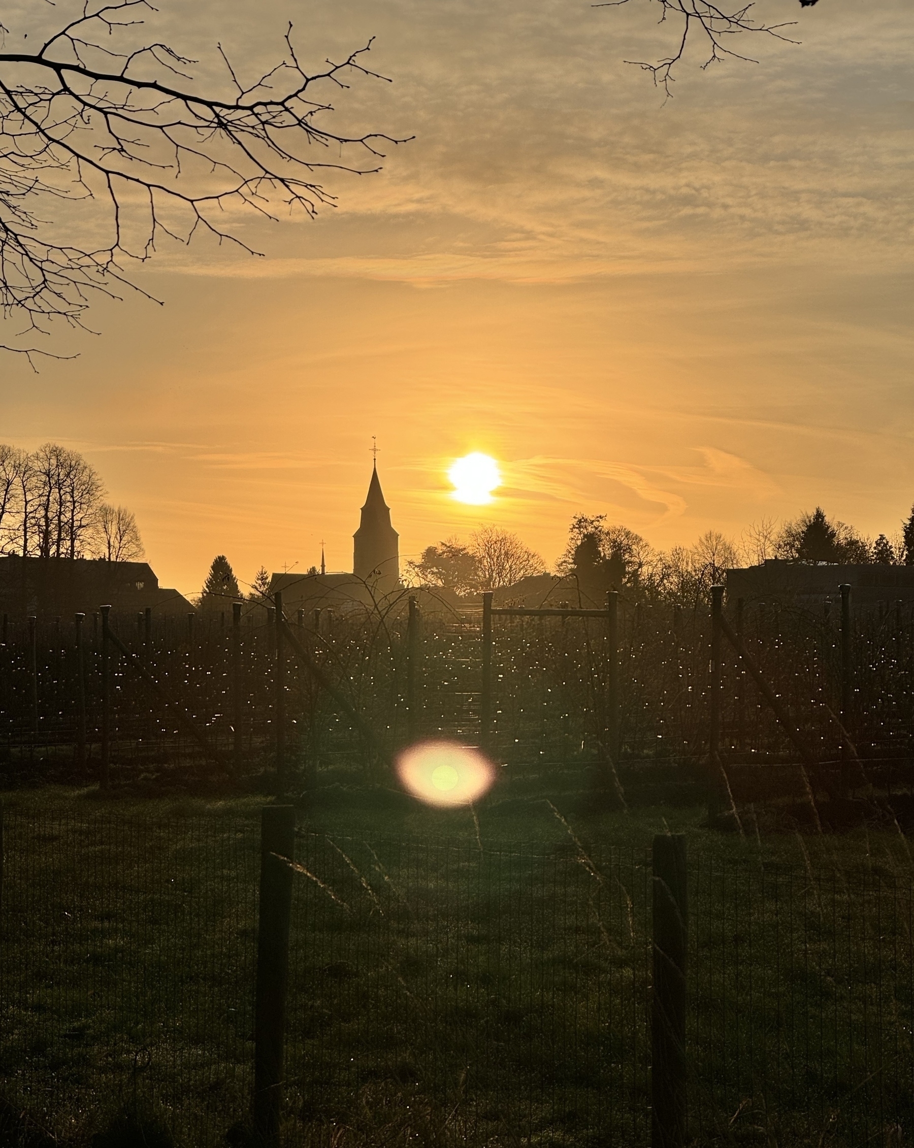 Sunset behind a church steeple with surrounding trees and a fence-enclosed field in the foreground. Lens flare is visible near the fence.