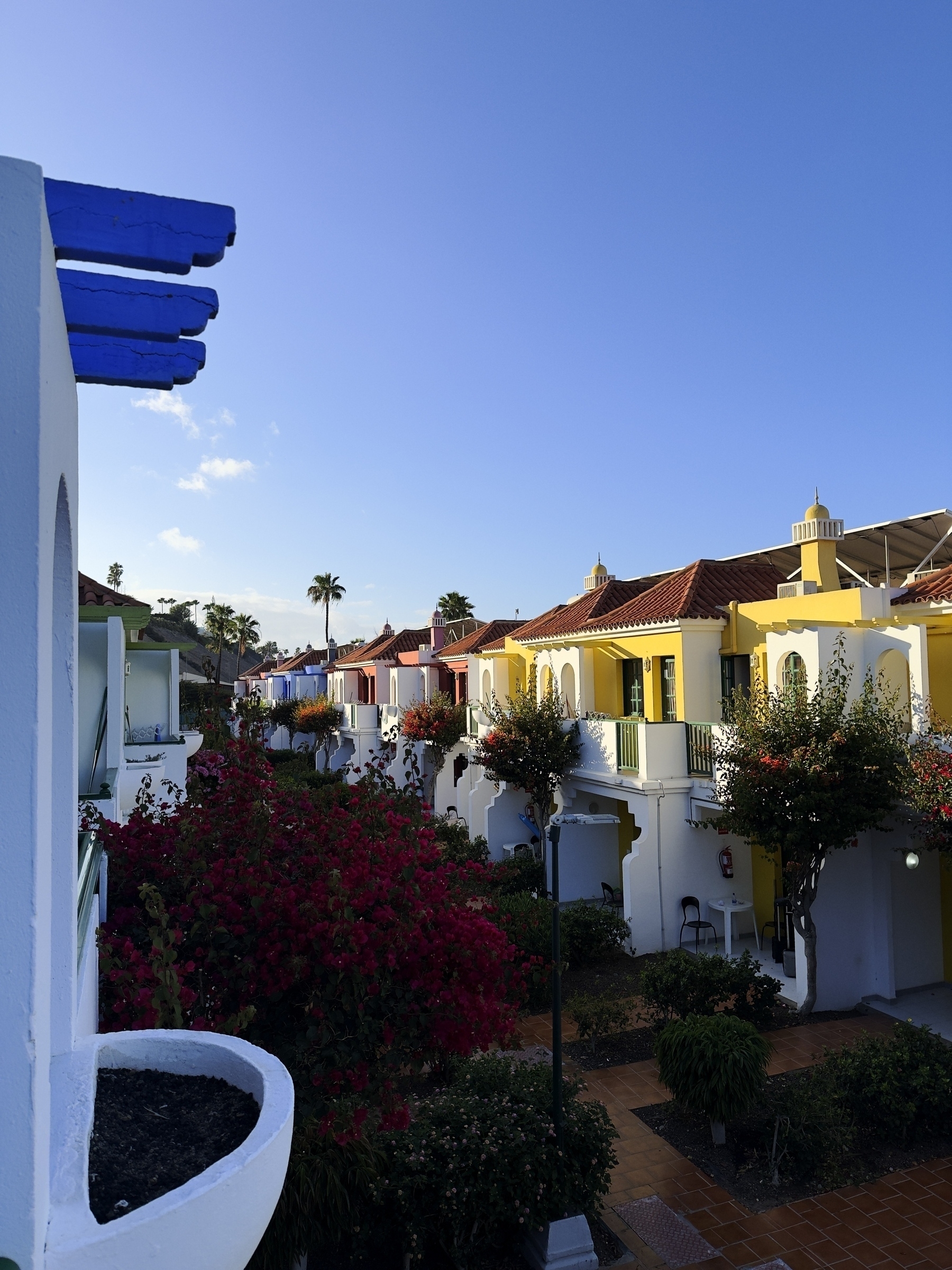 Bright blue wooden beams frame a view of colorful townhouses surrounded by lush flowering shrubs under a clear sky at dusk.