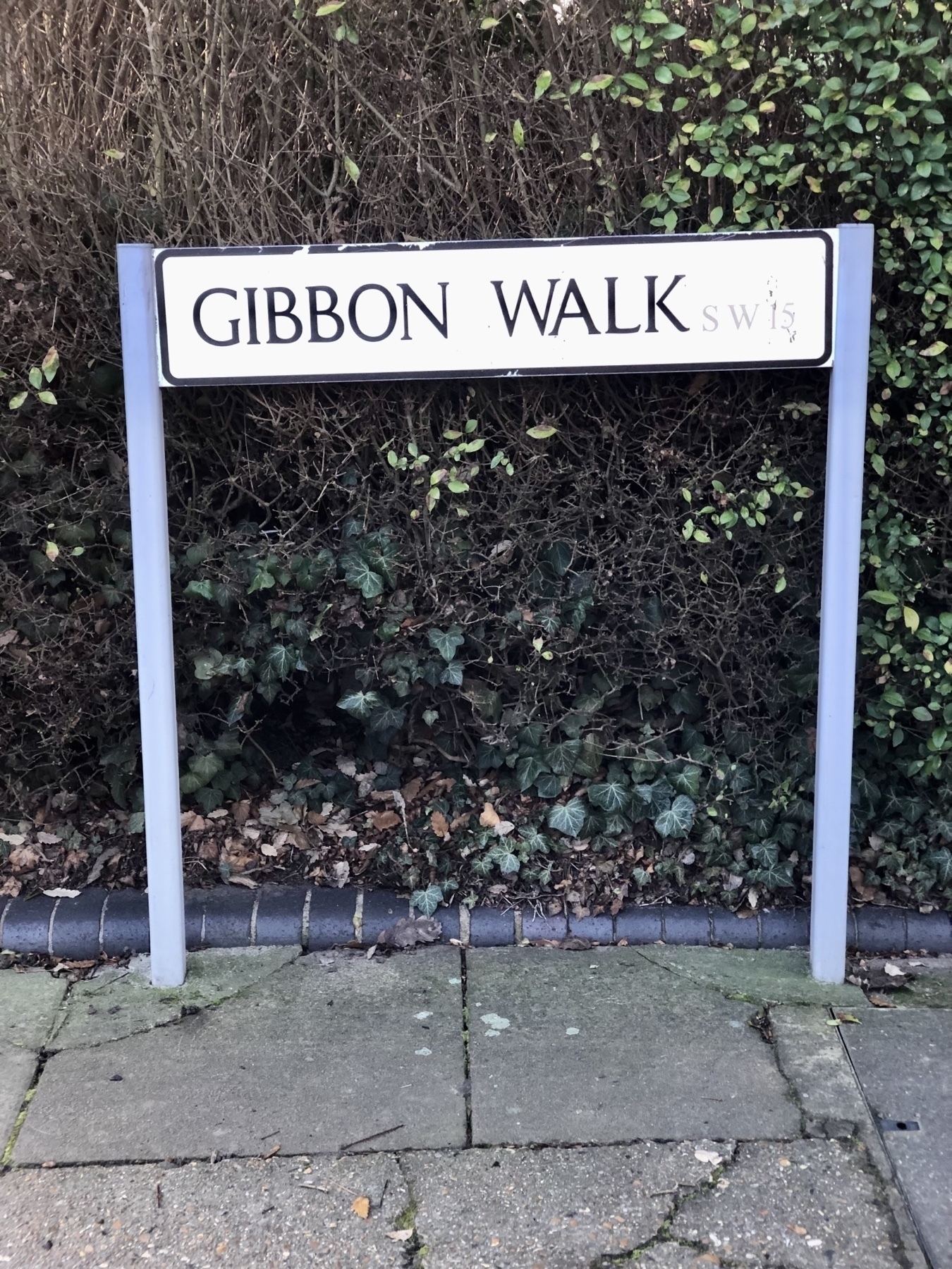 a street sign saying Gibbon Walk