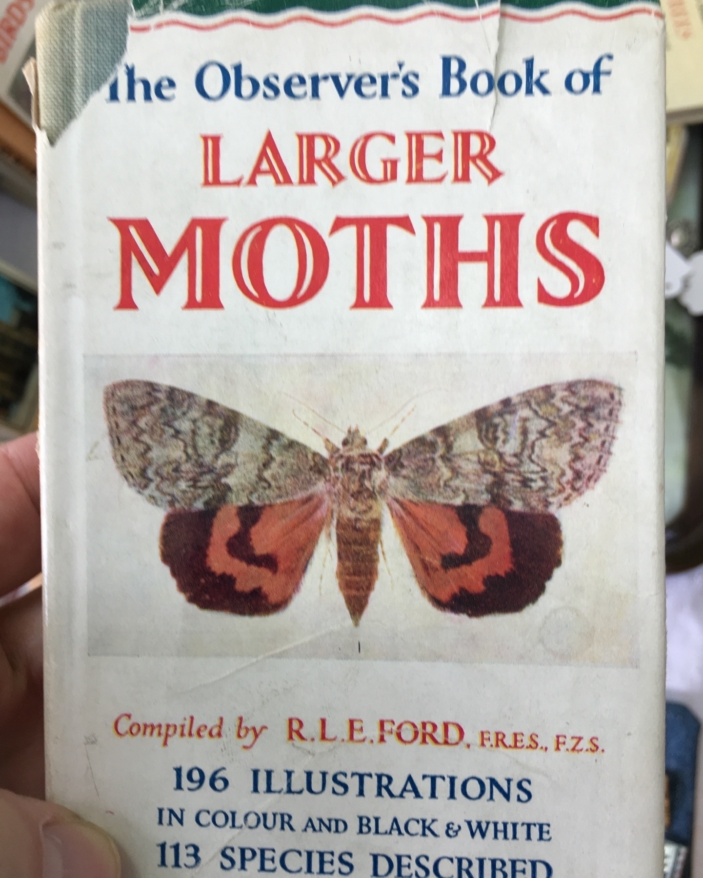 a photo of the Observers Book of Larger Moths