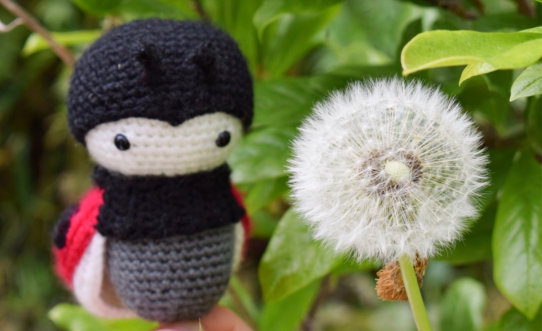 a crochet lady bug looks at a whole dandelion 