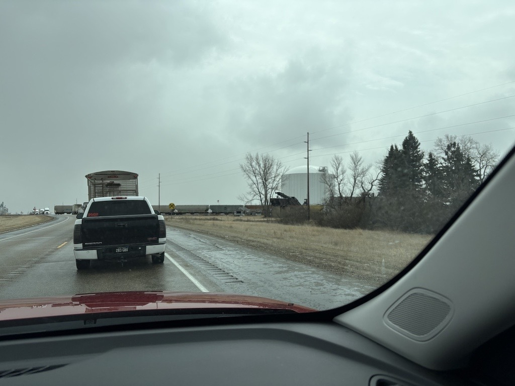 View from a car waiting for a train to cross.