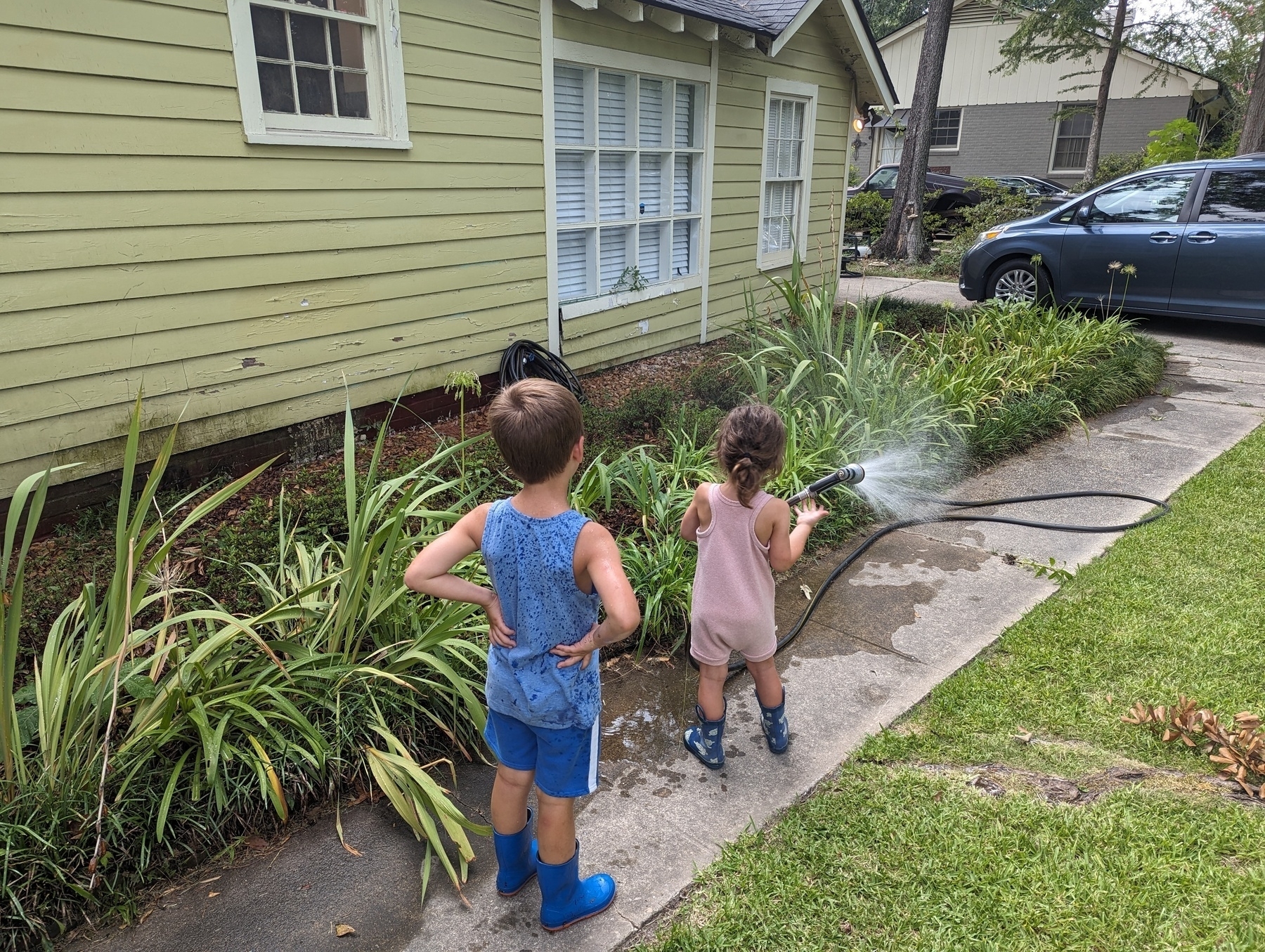 Tow children, a boy or five years and a girl of four years, in blue and pink shirts and t-shirts standing in front of a garden bed with azalea shrubs and other plants.  The girl is holding a hose.