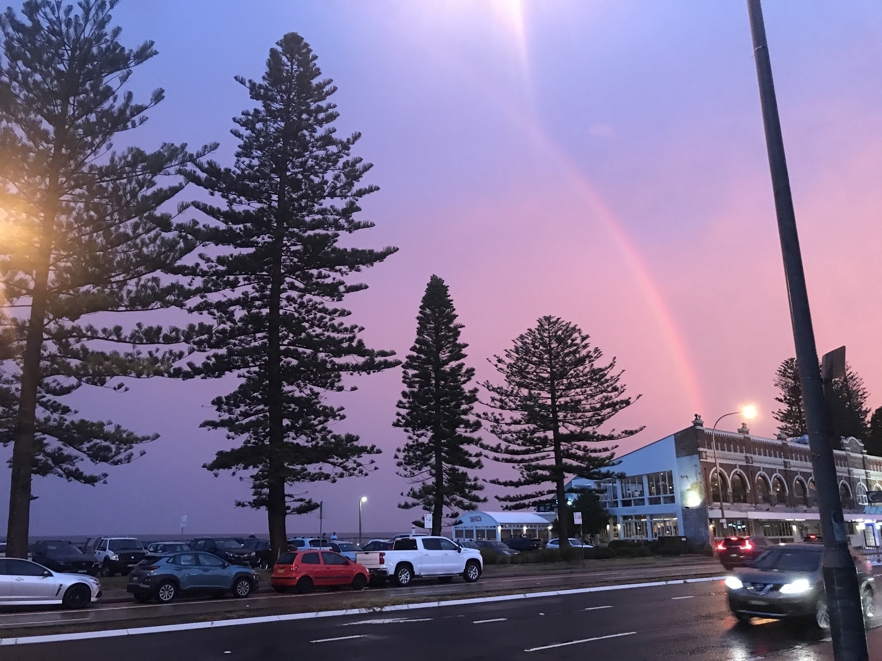 A wet, shiny main road in the early evening, and cars with their lights on. Across the road, four Norfolk Pine trees stand in silhouette against a blue sky that shades to grey on the horizon. A band of pink runs through the middle of the sky where a skinny rainbow curves up from the roof of a long, two-storey building with big, arched windows. The rainbow climbs steeply and exits half-way along the top of the photo.