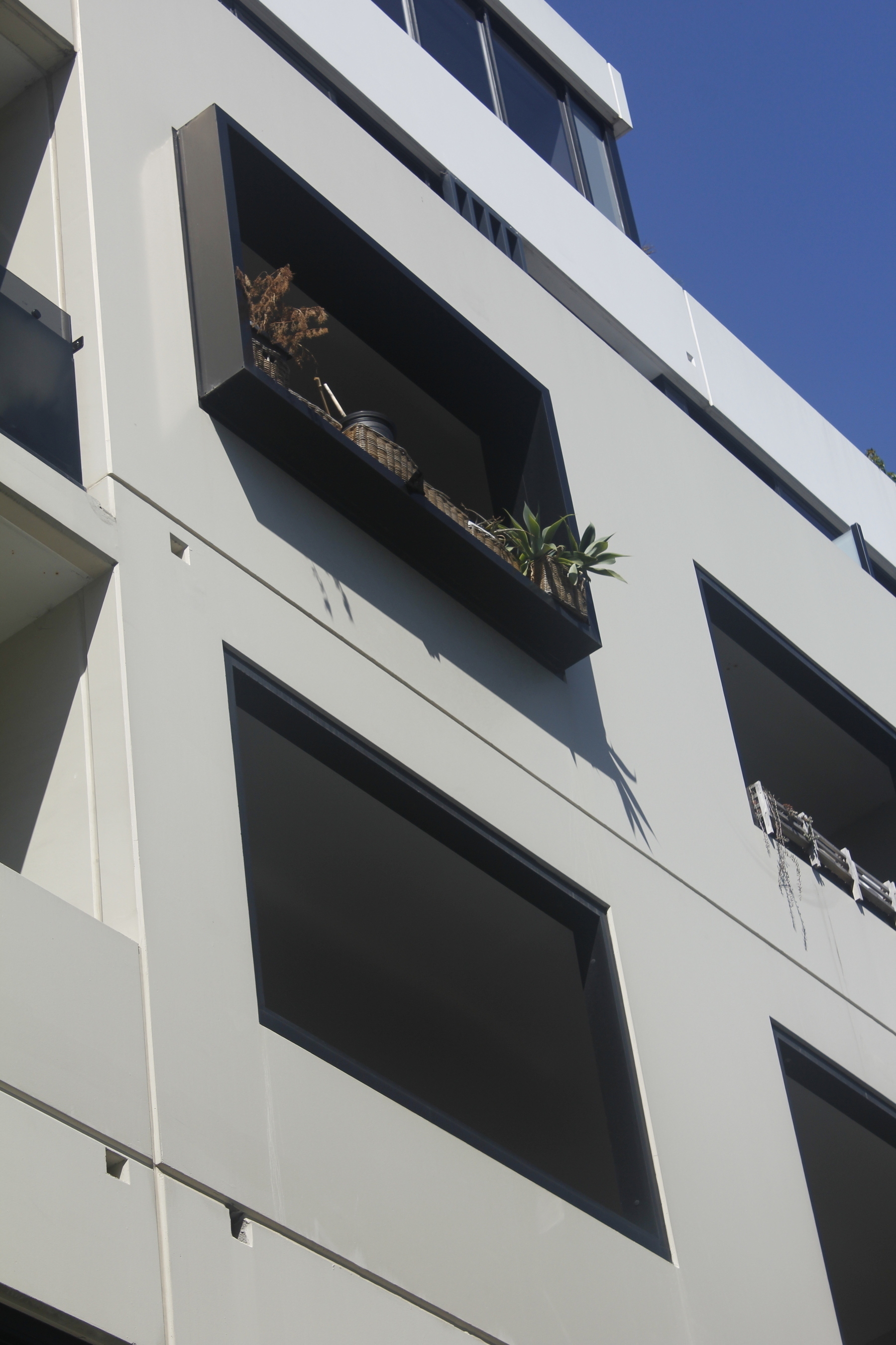 High up in the sunlit white facade of a high-rise building, a big window is boxed with a black timber surround that protrudes from the wall. Several baskets sit on the base of this surround. In a basket at one end, succulent plants are green and thriving. In a basket at the other end, a dead plant displays brown, drooping branches.