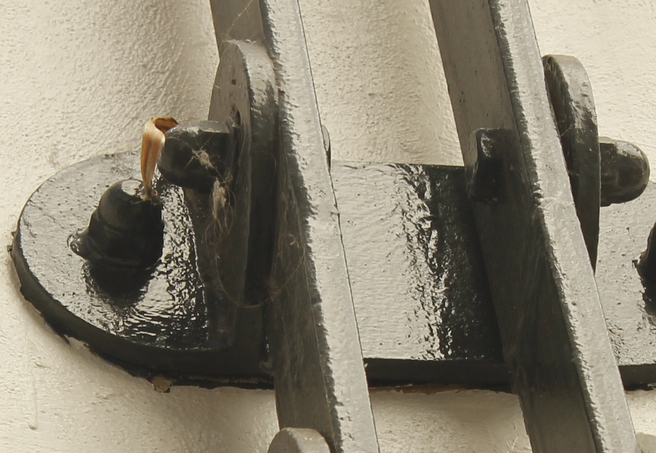 Close-up of a very strong steel bracket bolted to a wall, with a small dead leaf caught in a spider's web on one side.