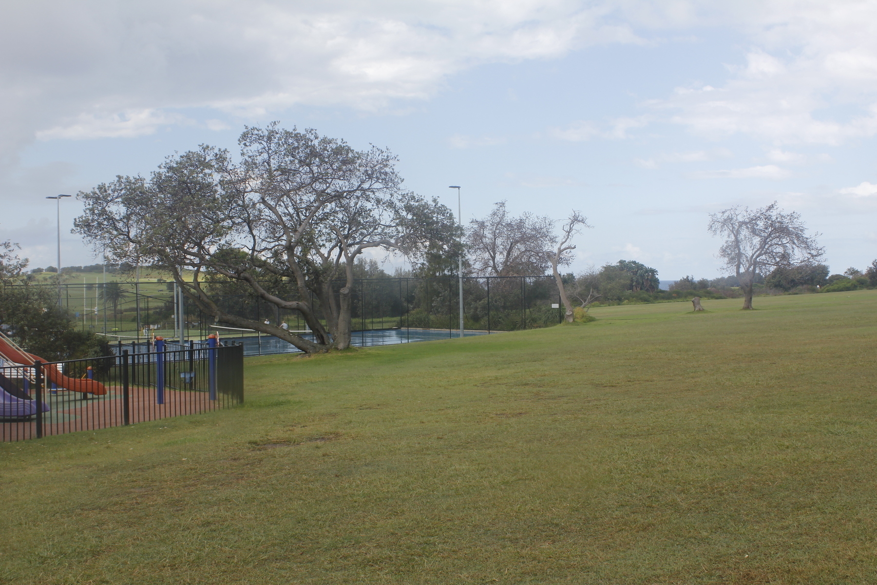 A big area of rain-wet grass begins in the foreground and extends to a line of wind-blown bushes in the distance. Three trees and a stump stand in the middle distance. In the left foreground is the corner of a children’s fenced-off play area, and just past that is a blue tennis court with a big, spreading tree overlooking it. The tennis court is wet and shiny from the rain. The sky is pale blue, with dark and light clouds.
