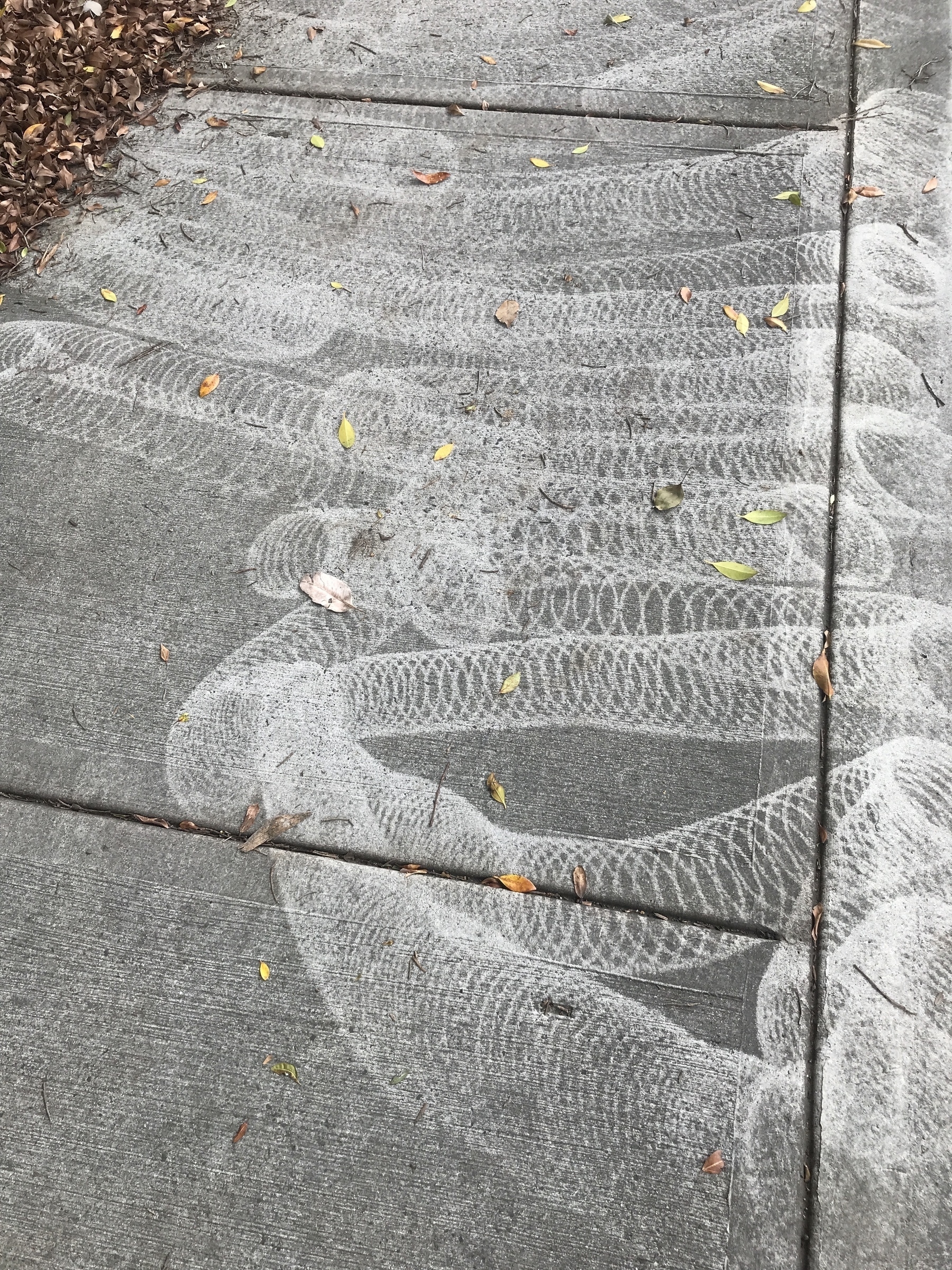 A grey footpath is scored across with broad, pale marks that look like three-dimensional cylinders. The shapes are composed of regularly-spaced, spiral lines, and the end of each shape forms an angled cross-section of a circle.