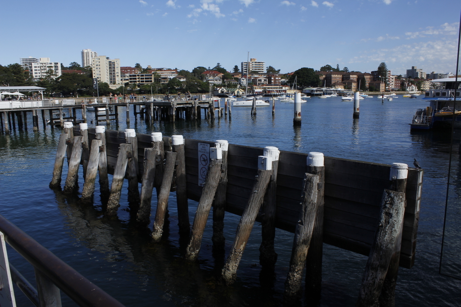A harbour scene with pale blue sky and deep blue, glistening water. Blocks of flats, houses and trees in the distance. In the foreground, in the water, an old timber safety barrier crosses from bottom right to middle left. The barrier is made of long, heavy timber beams laid horizontally, supported by vertical timber pylons disappearing into the water, with a crust of barnacles. Angled pylons further support these, and everything is reflected in the gently rippled water. A sign on the back of the barrier says: ‘Swimming and diving prohibited’. In the middle distance is a long jetty with a colourful group of figures standing in the sun. Below, in blurry silhouette, a girl climbs a ladder from the water, and a second girl, still in the water, clings to a rope strung between two pylons.