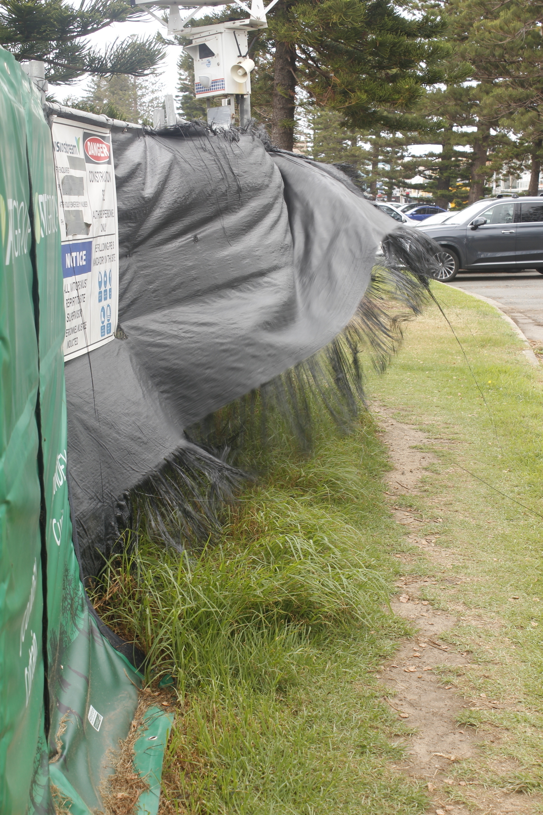 A portrait-oriented picture looking along a curving grass verge with a construction fence on the left and parked cars in the background. The fence has two separate coverings: a padded green plastic overlay in the foreground with white, illegible text, and beyond that a grey sheet made of woven plastic, like raffia. The bottom of the sheet has lost many lines of horizontal weave, leaving long thin tassles like a fringe all the way along. A strong wind lifts the sheet so that it bellies out over the grass, its tassles whipping and flying. Parts of the sheet, and sections of the tassled fringe, are blurred by their movement, while others are frozen by the camera and appear sharp.