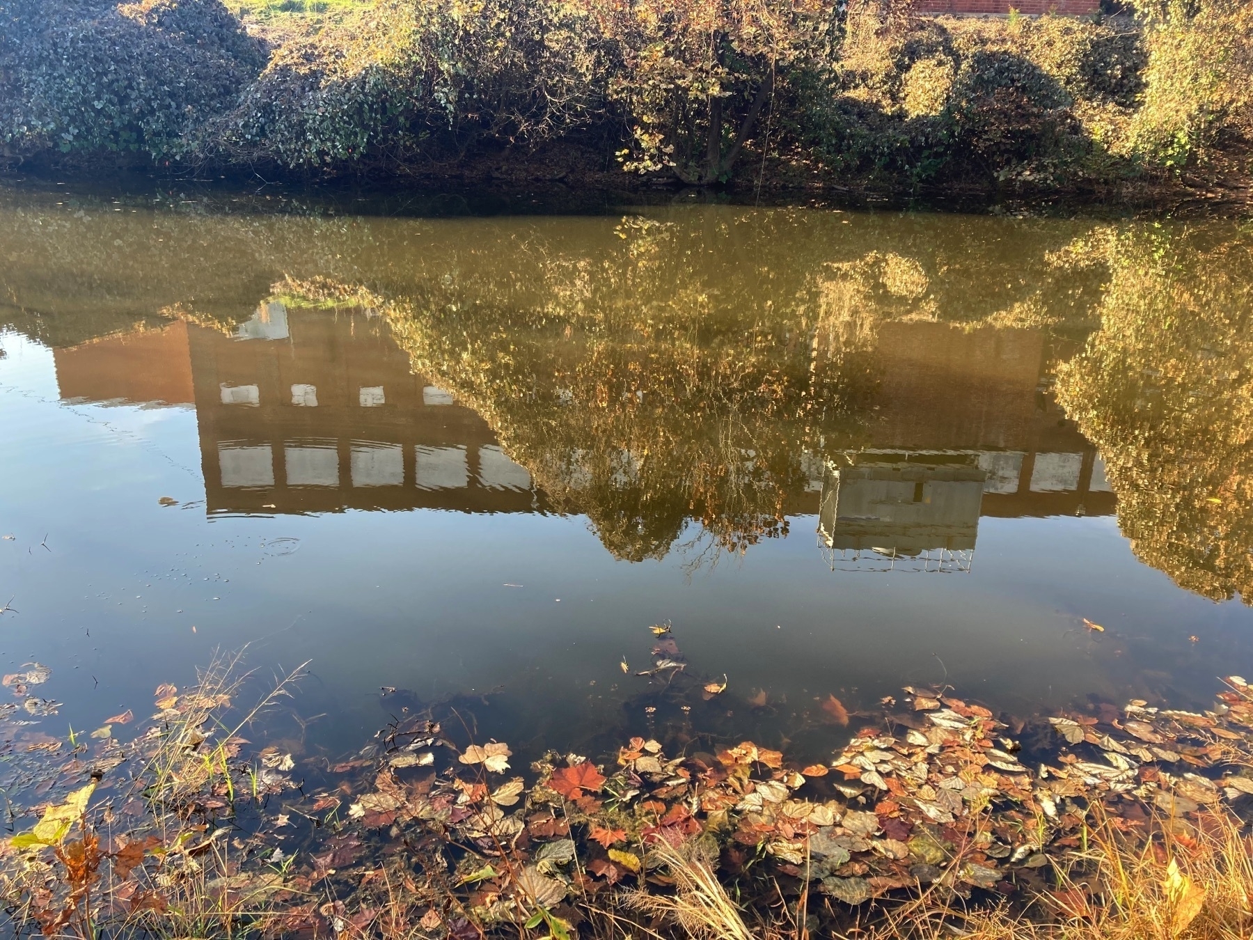 reflection of an abandoned factory building in still water